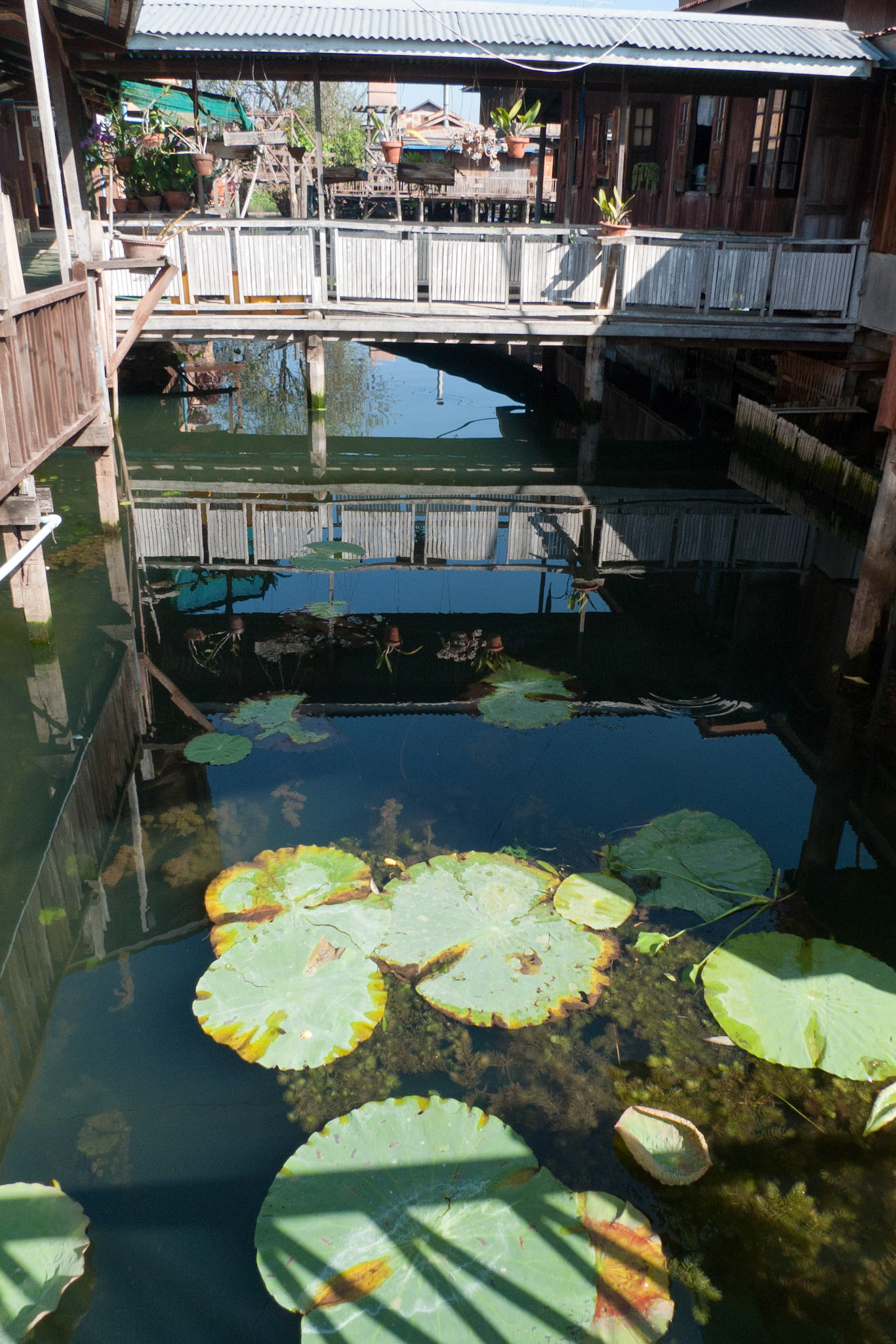 Lake Inle: In Phaw Khone Village