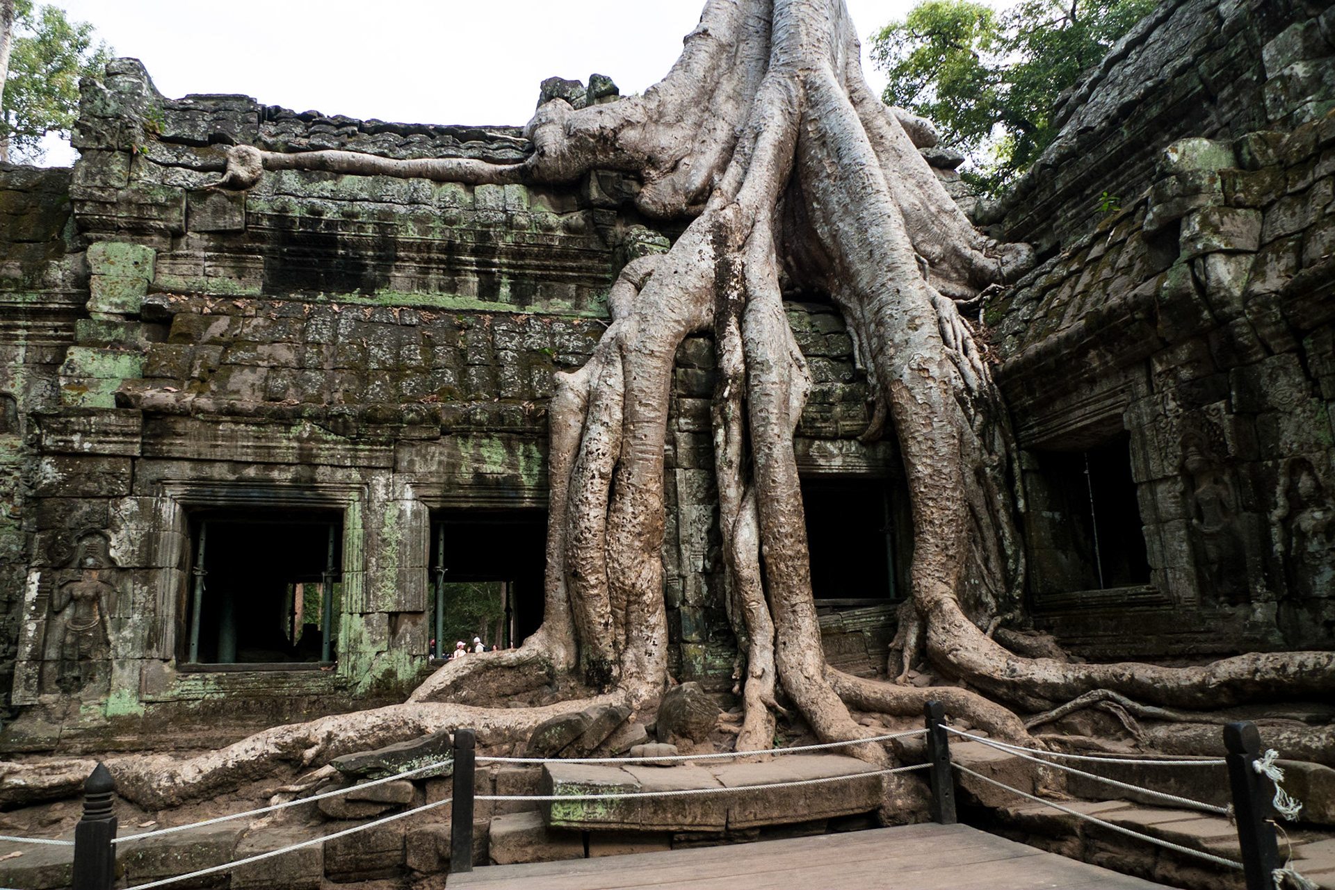 Ta Prohm: