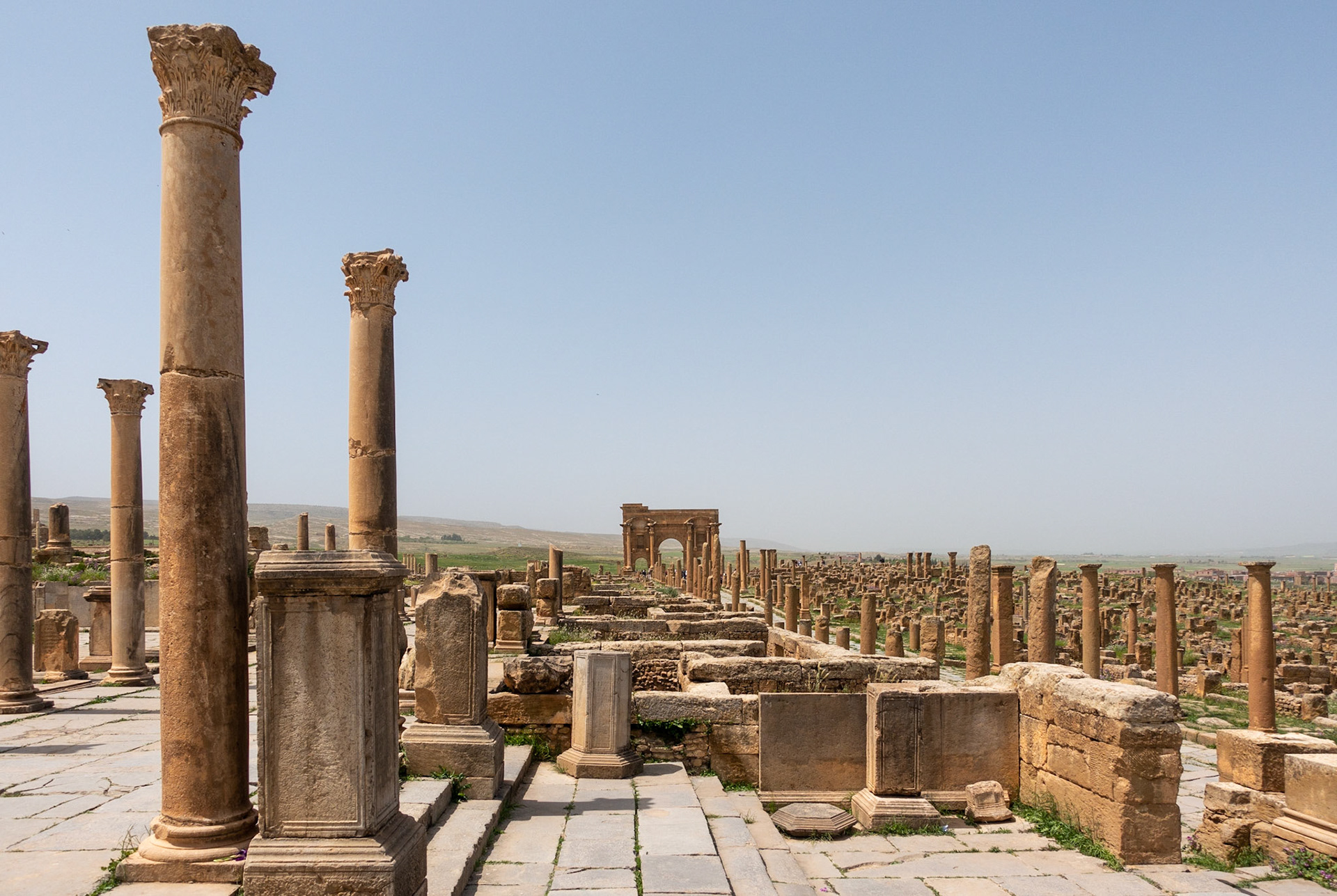 Timgad: