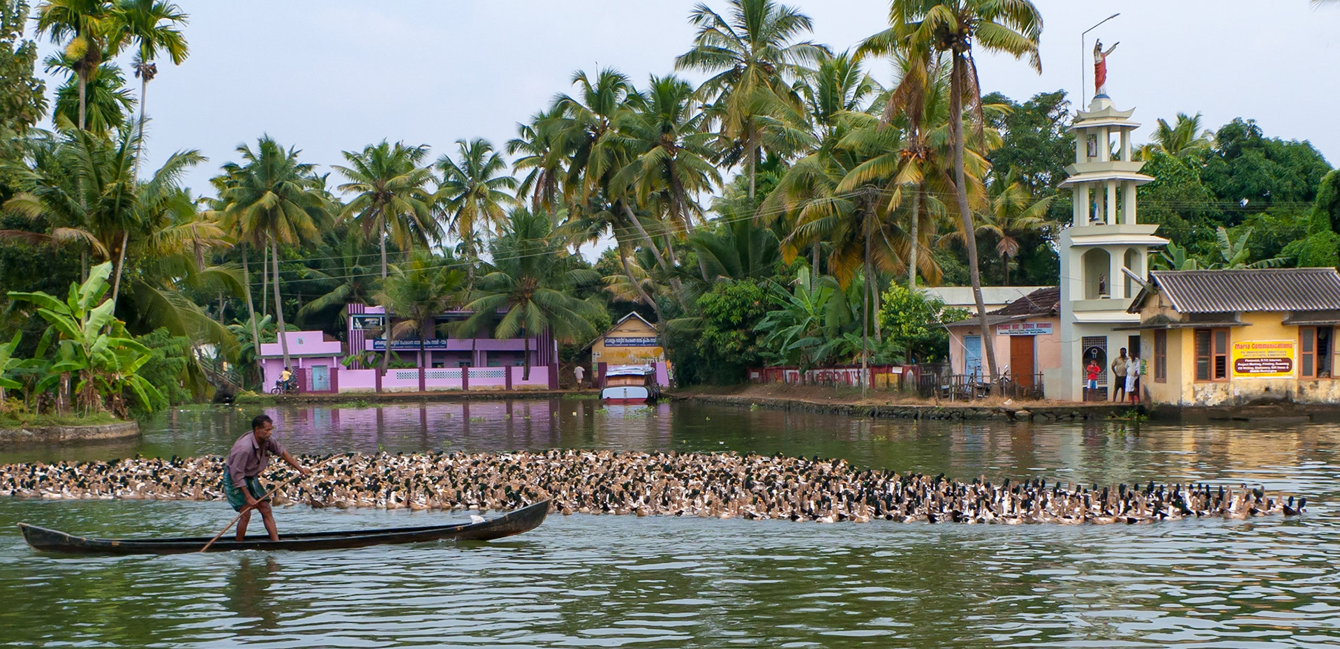 Kerala: Back waters