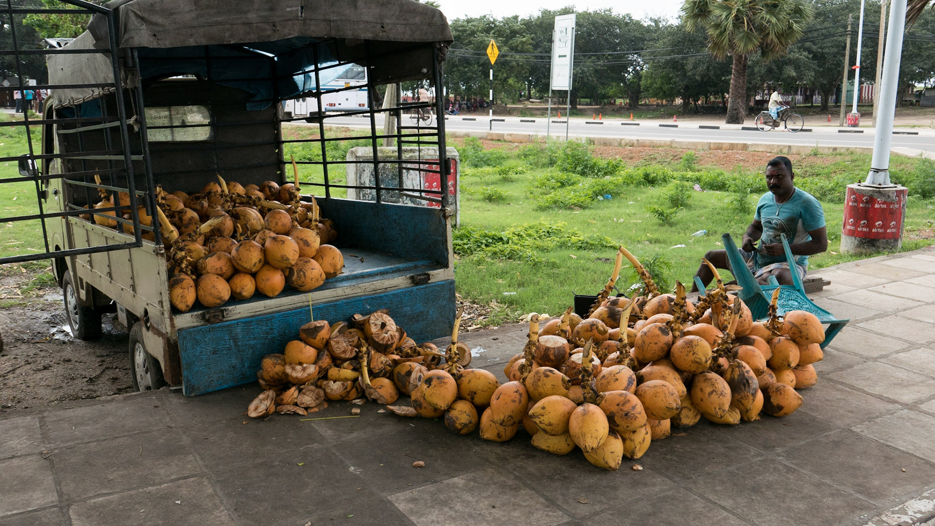 Jaffna: Coconut seller