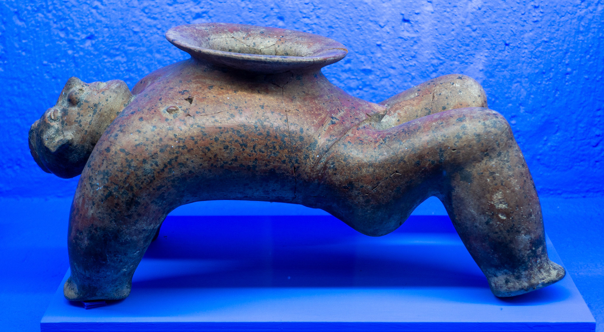 Oaxaca: Rufino Tamayo Museum