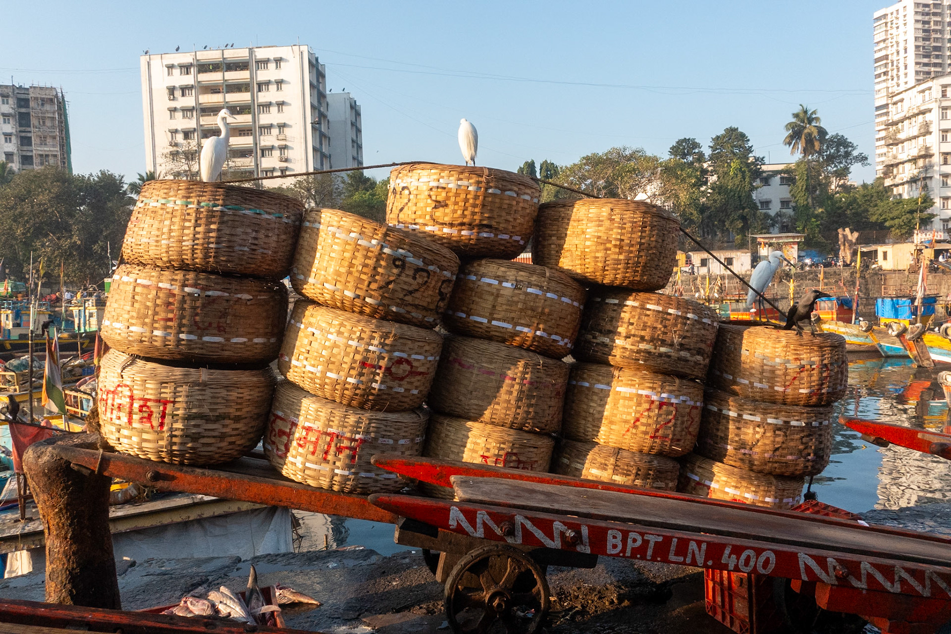 Mubai: Sassoon docks