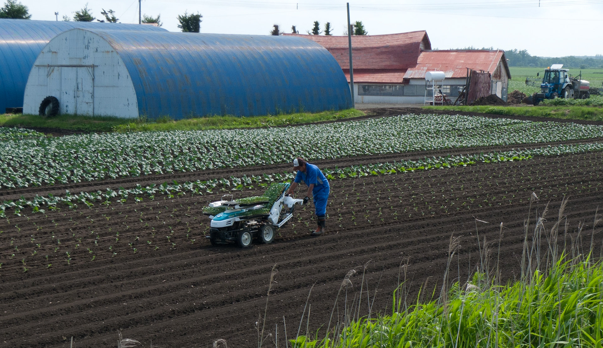Utoro to Abashiri: Automatic planting of seedlings