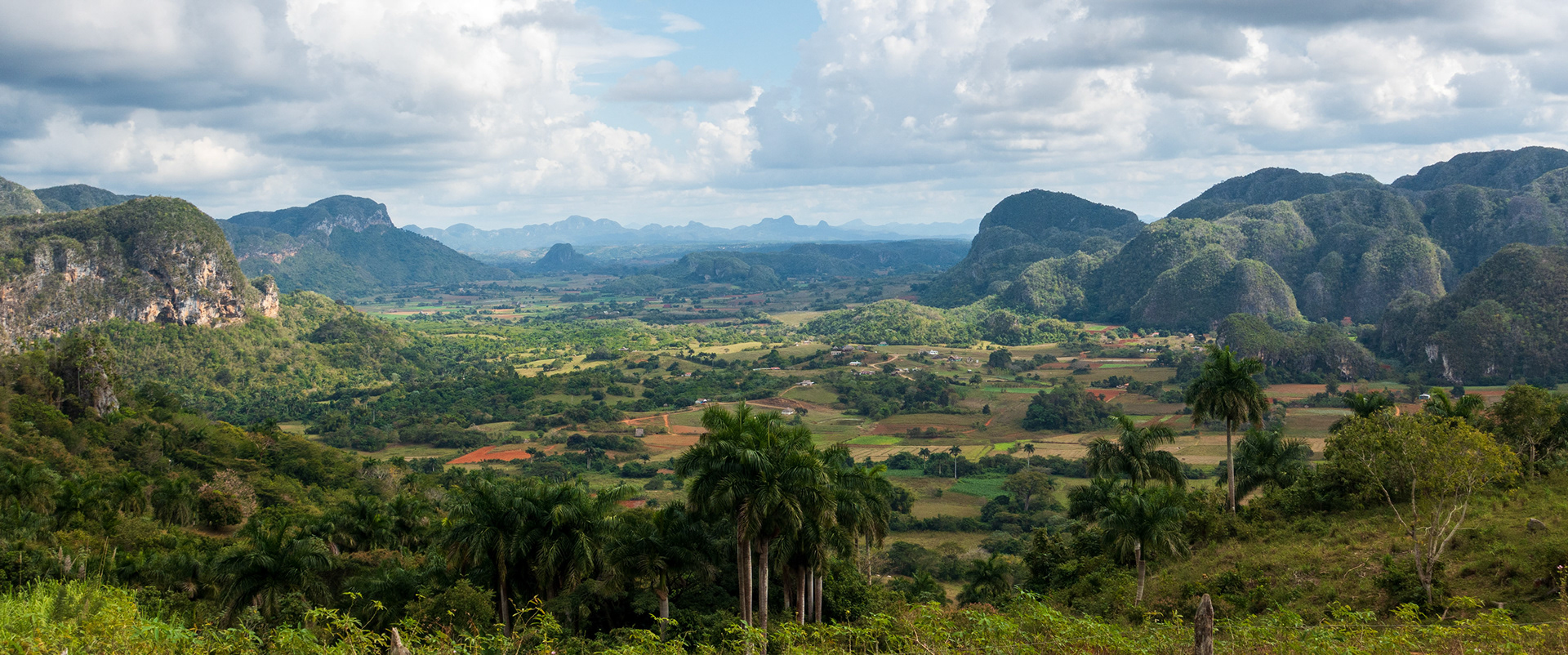 Vinales: Walk through Tobacco Fields