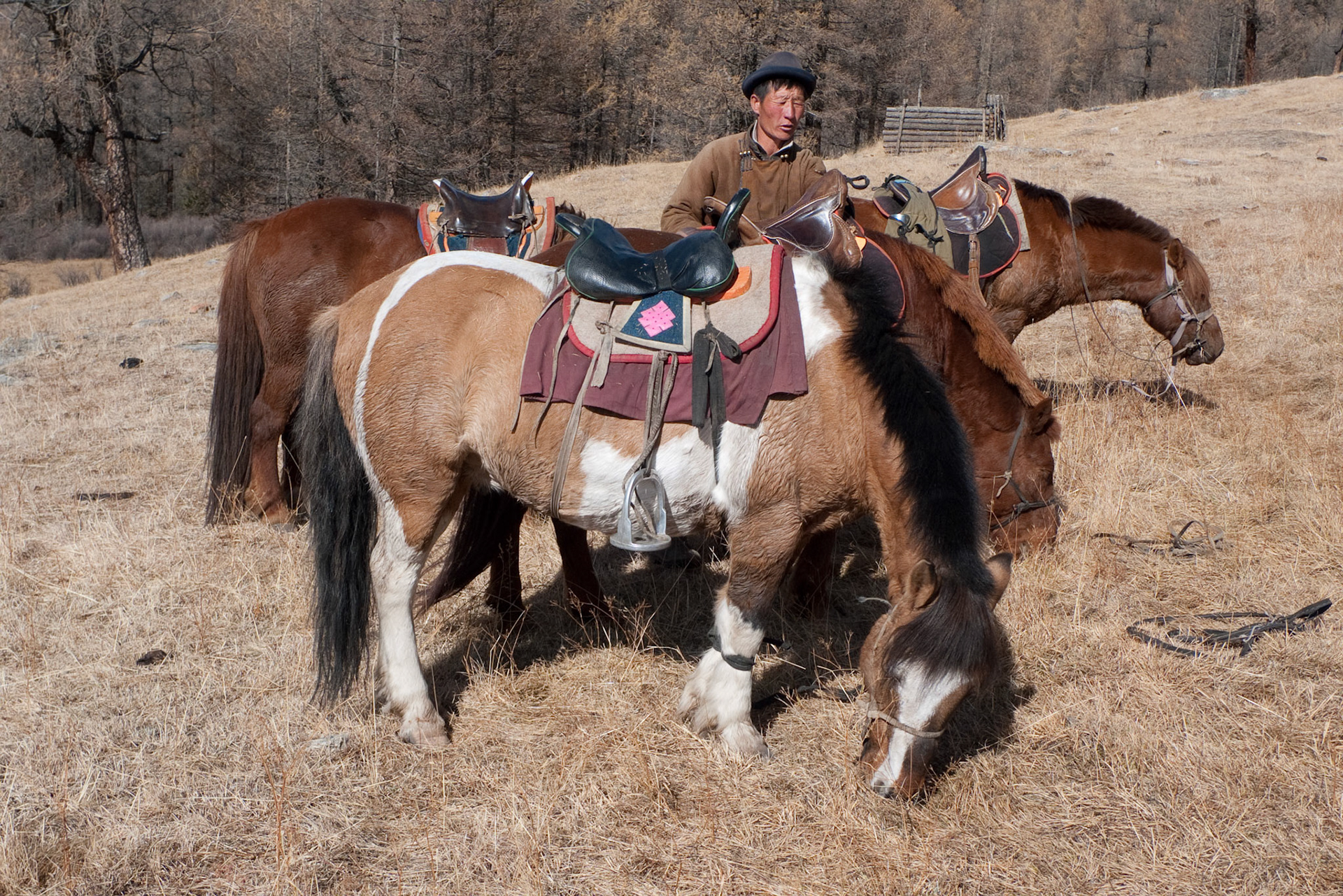 Day 4: Bat-Olziy - Horse Ride (v uncomfortable)