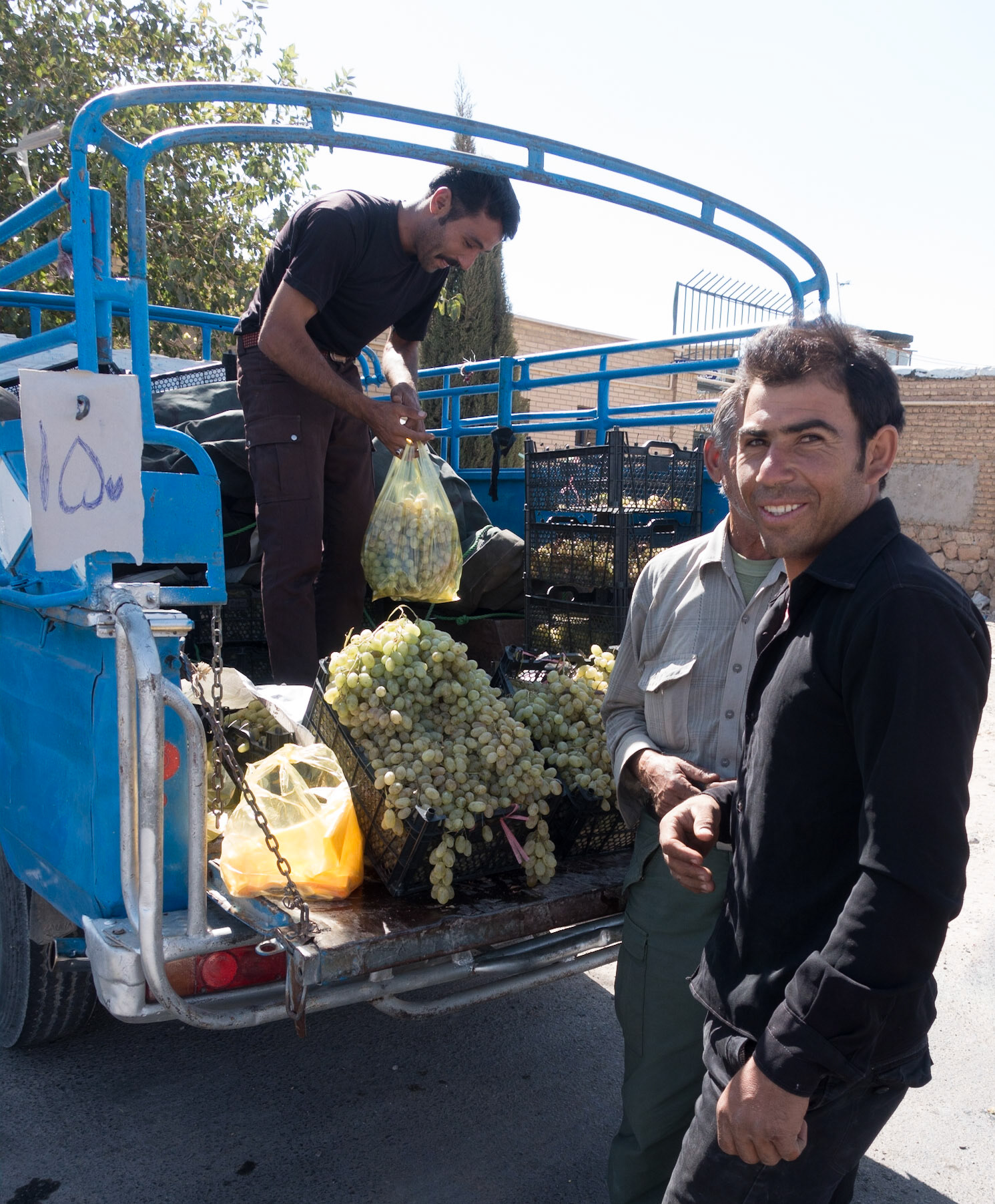 Sarveston: Selling Grapes