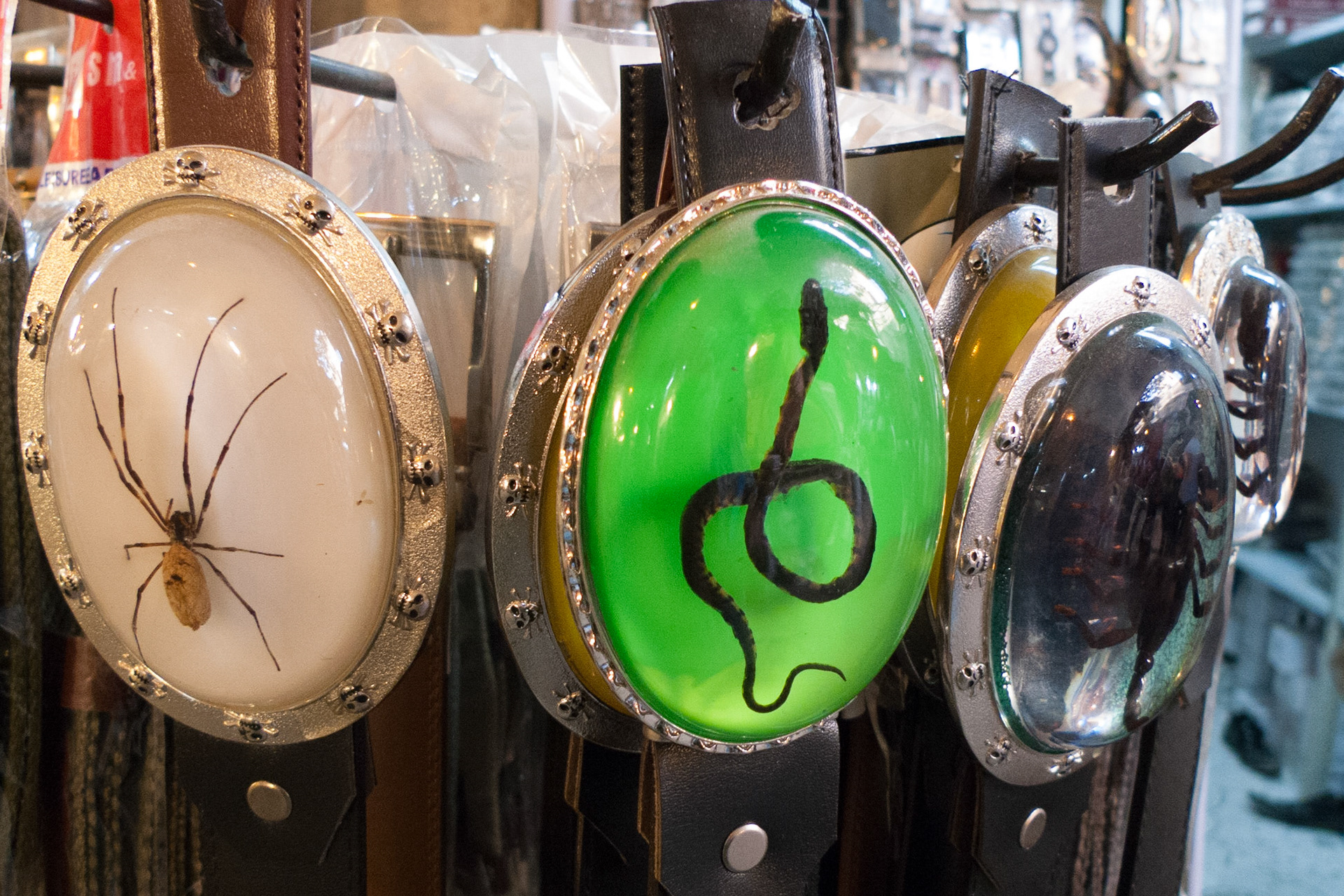 Aleppo: Belt Buckles