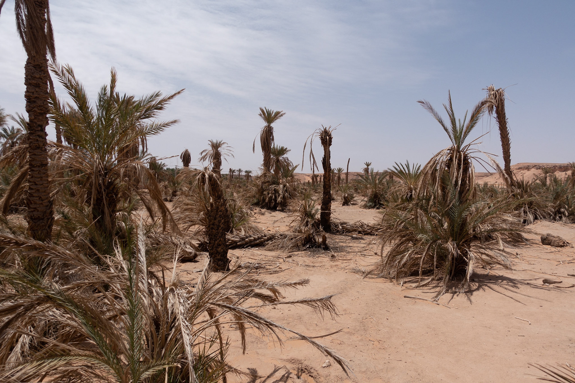 Benni Abbas: Drought for more than two years