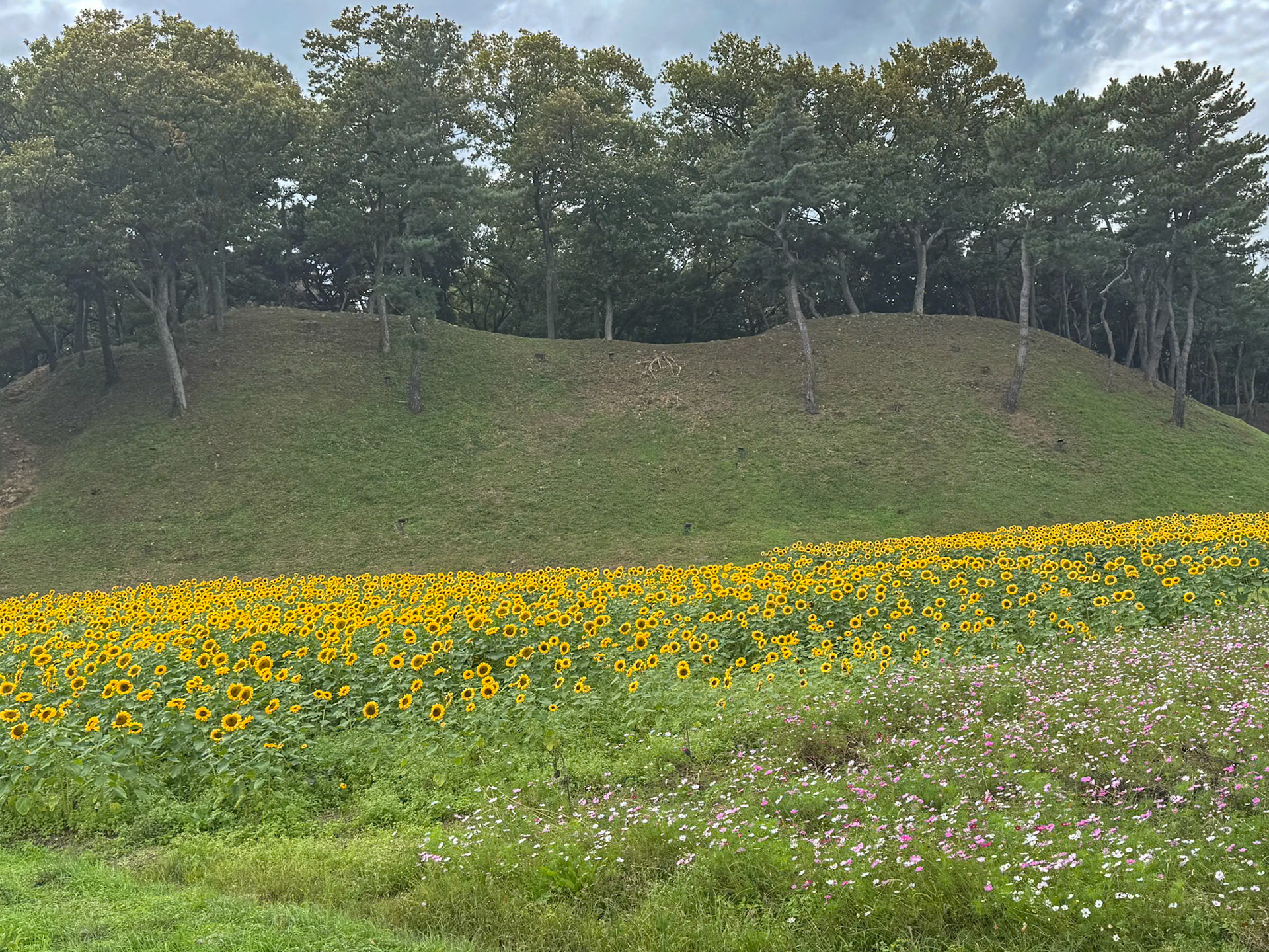 Gyeongju