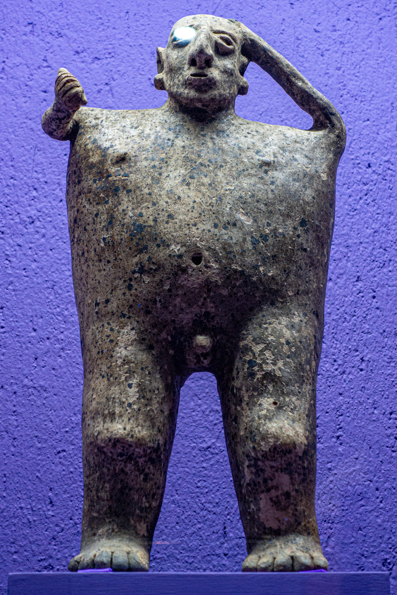 Oaxaca: Rufino Tamayo Museum