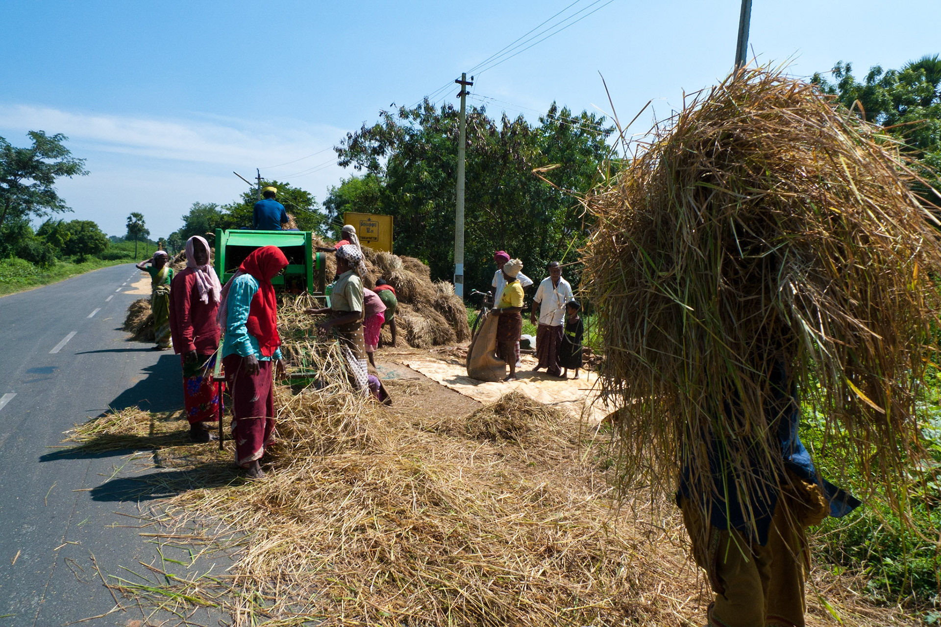 Chettinad Region: roadside threshing