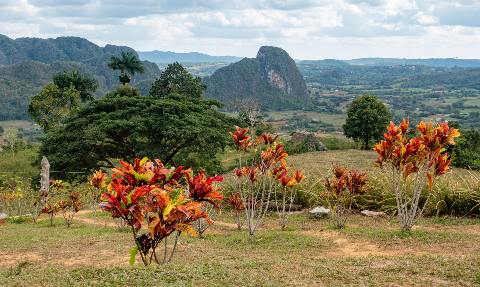 Vinales: Walk through Tobacco Fields