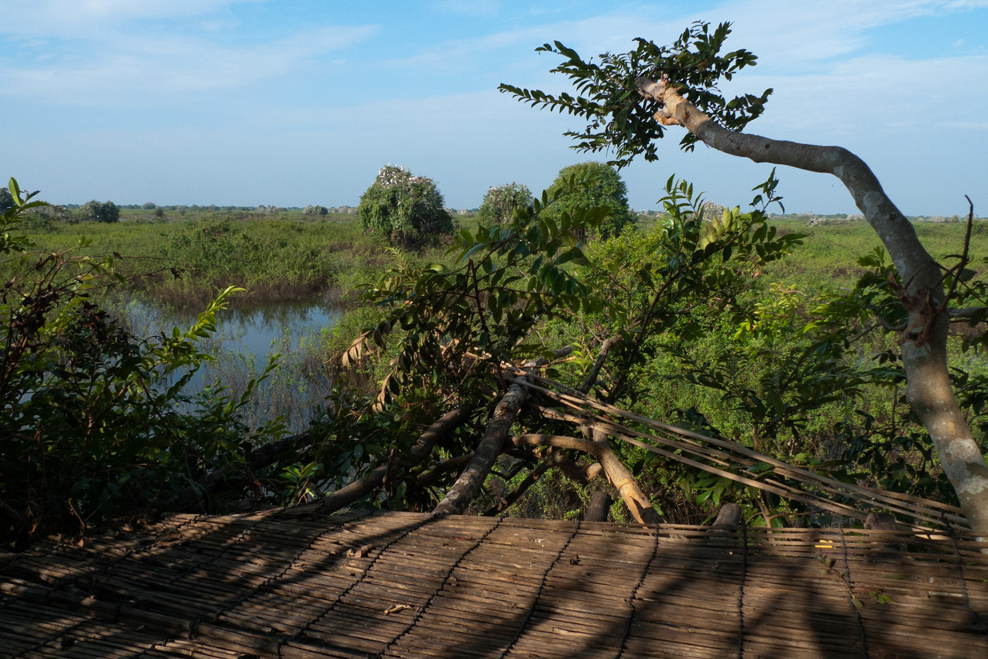 Lake Tonle Sap: Bird Hide.