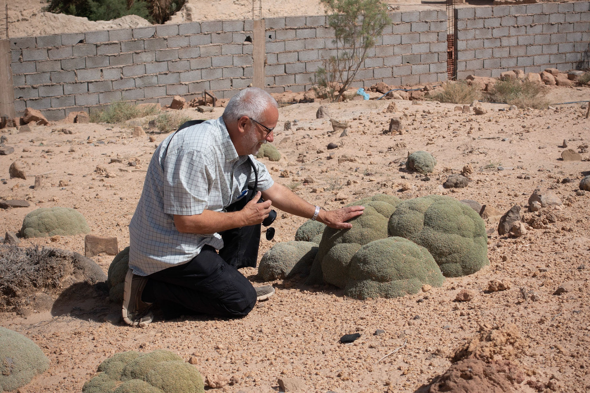 Tagit: John testing spikey ?