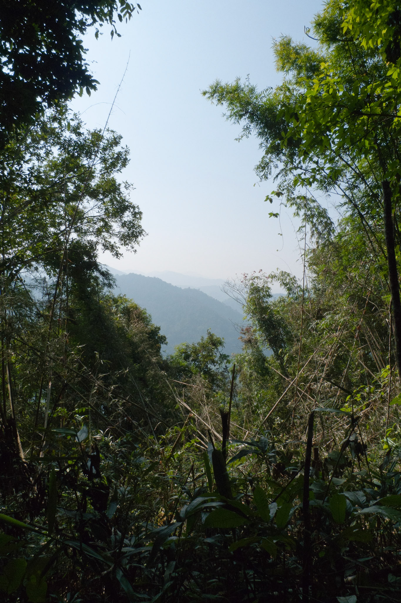 Luang Namtha: Trek - The View
