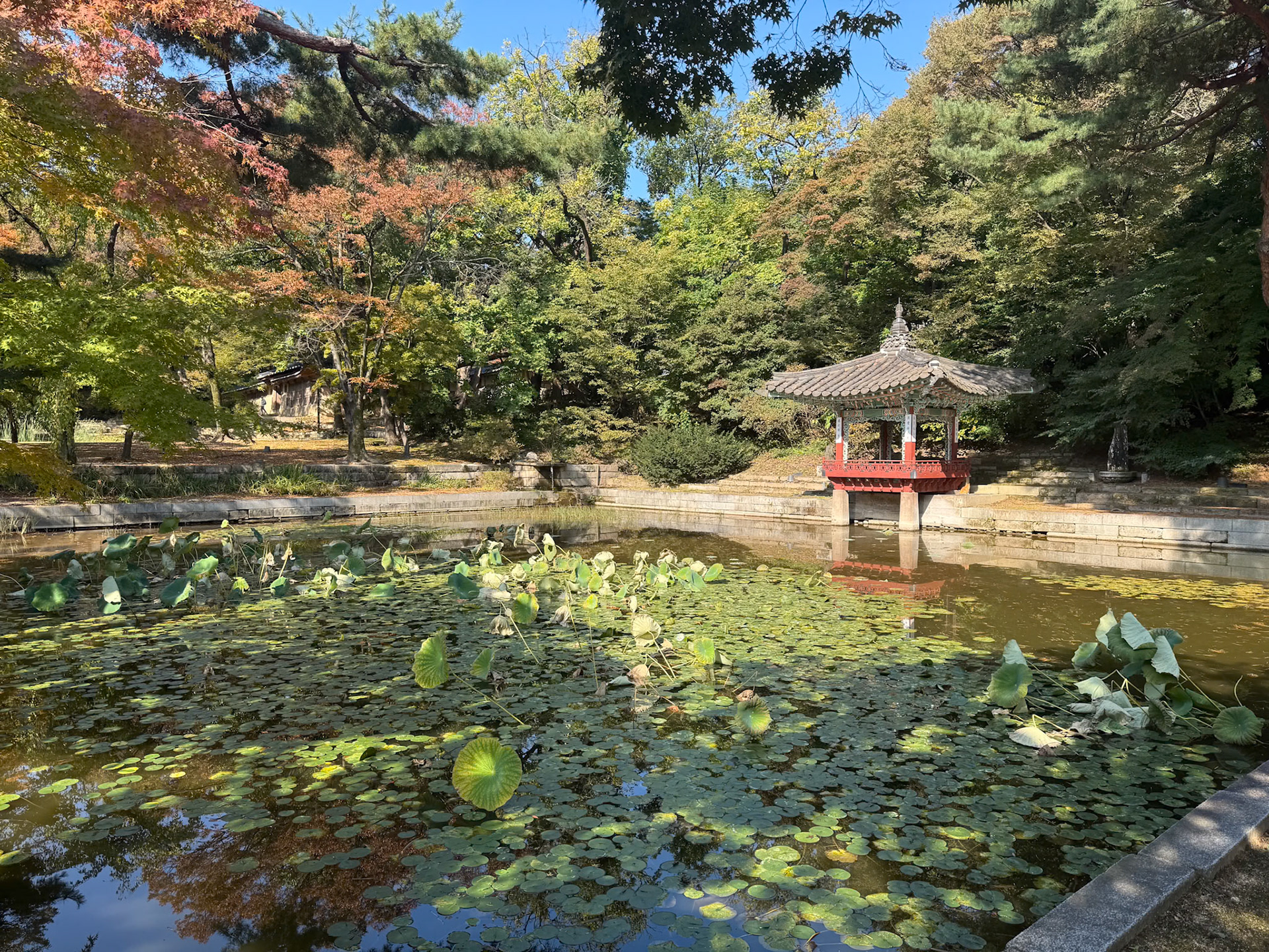 Seoul: Changgyeoggung Palace - Secret Garden