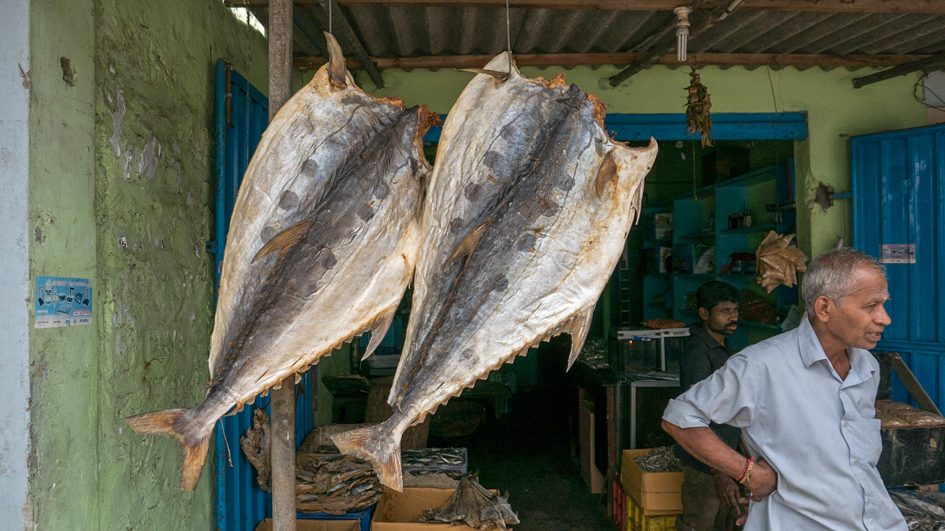 Jaffna: Dried Fish