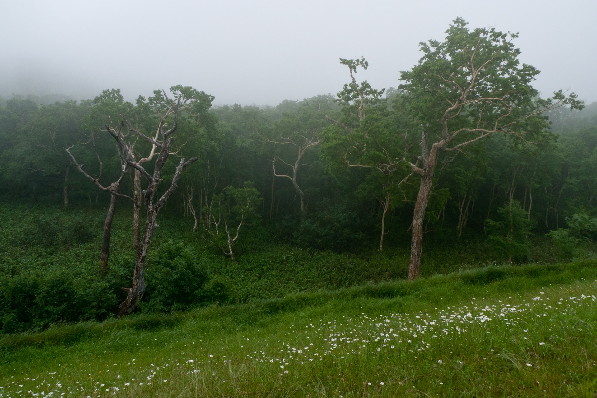 Rausu to Utoro: Shiretoko National Park