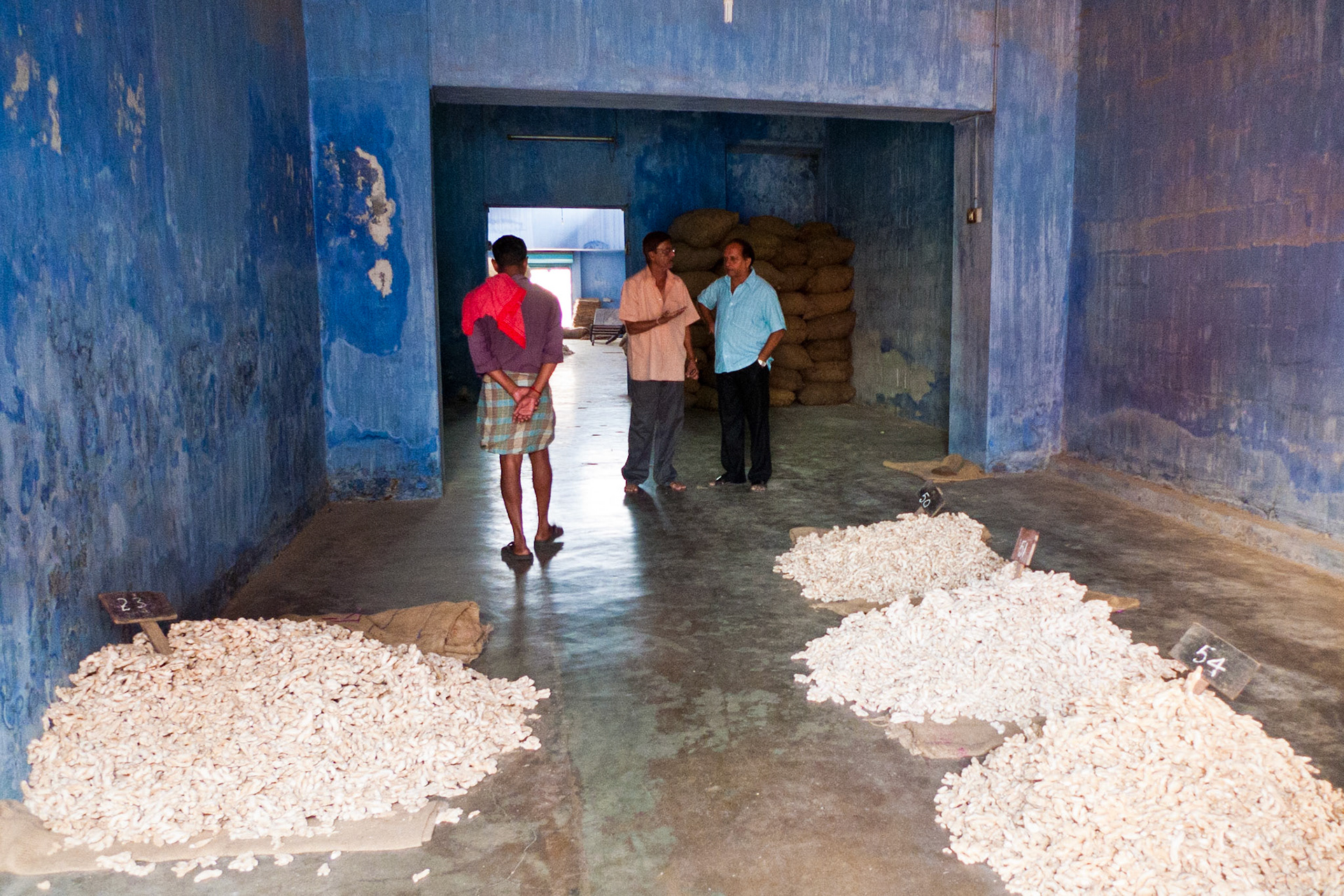 Cochin: Ginger Wholesaler