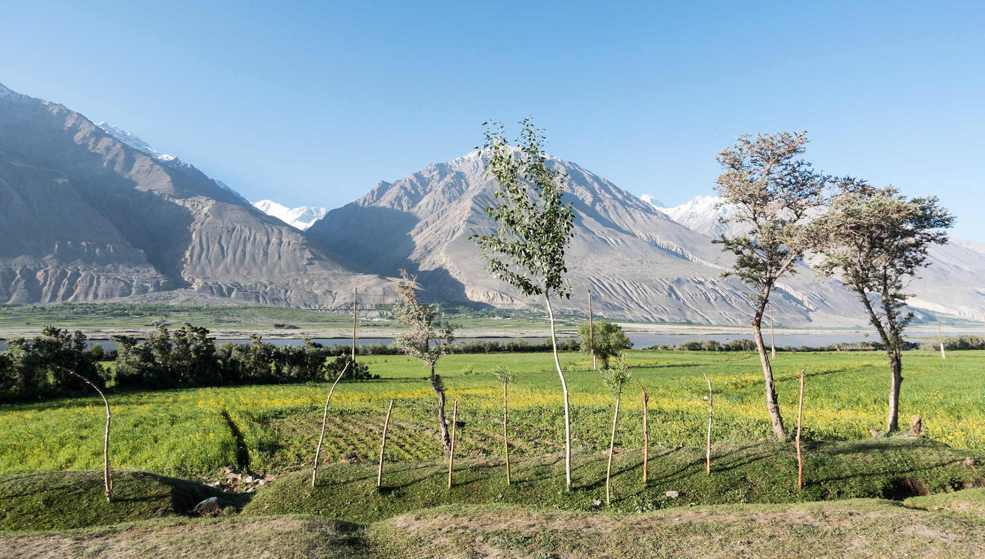 Yamg:  Early Morning