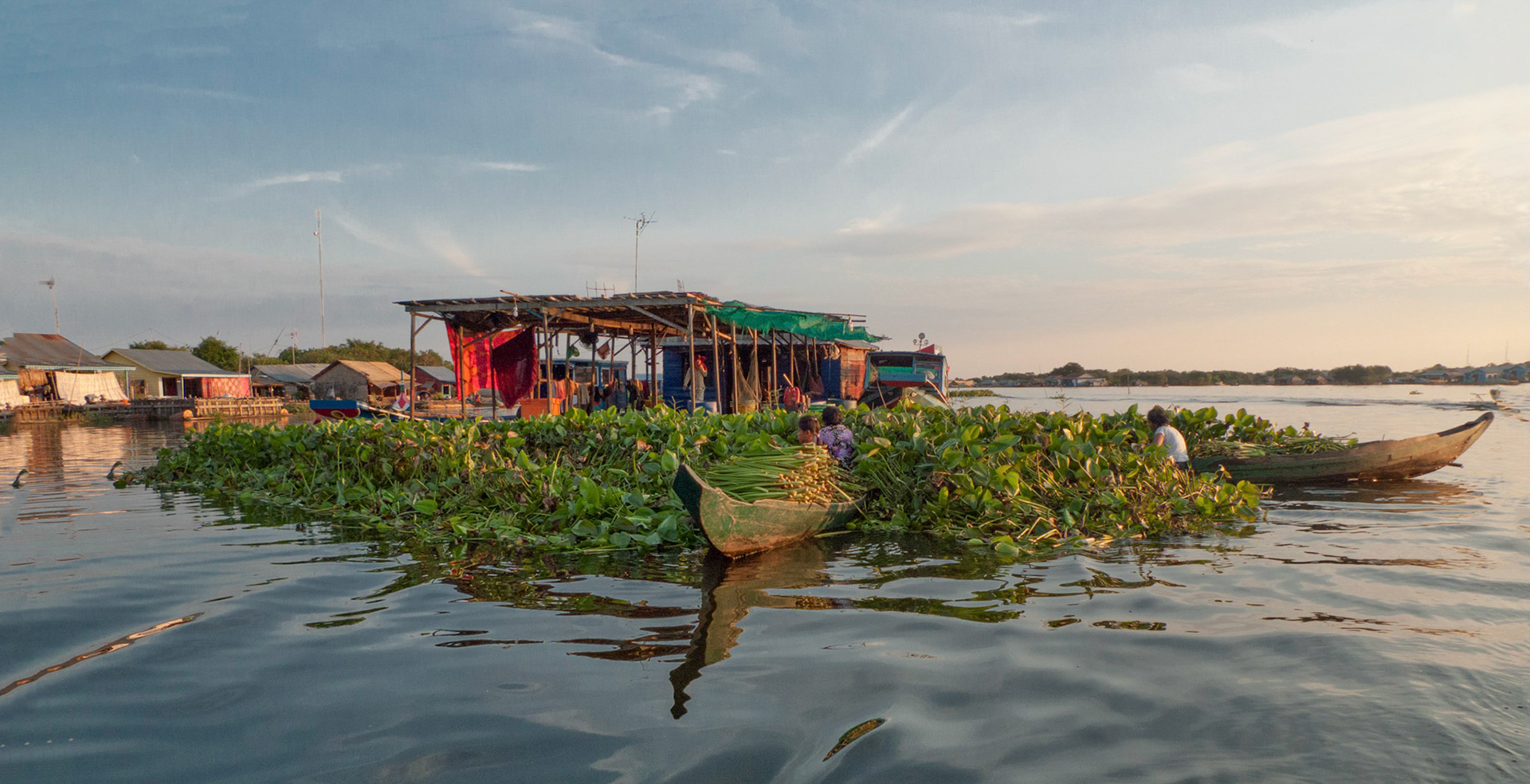 Lake Tonle Sap: Gardening on floating village.