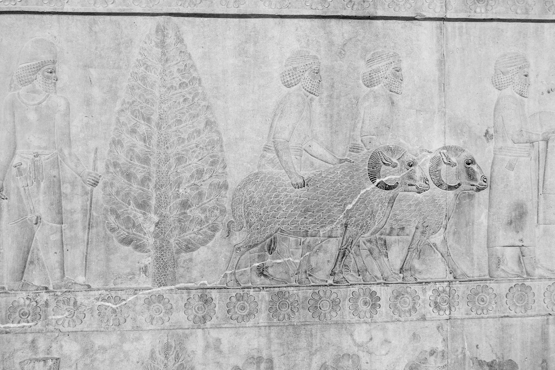 Persepolis: Apadana Reliefs