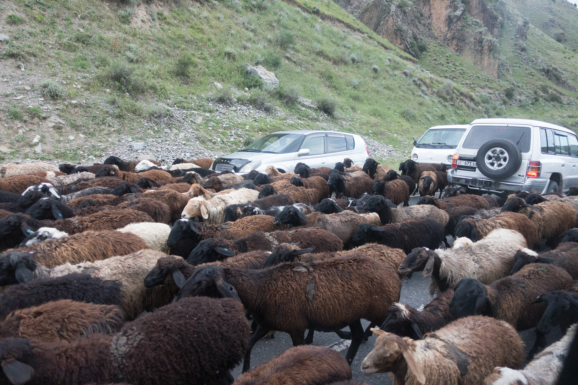 Murghab to Osh: Moving to Summer  Pasture via road network