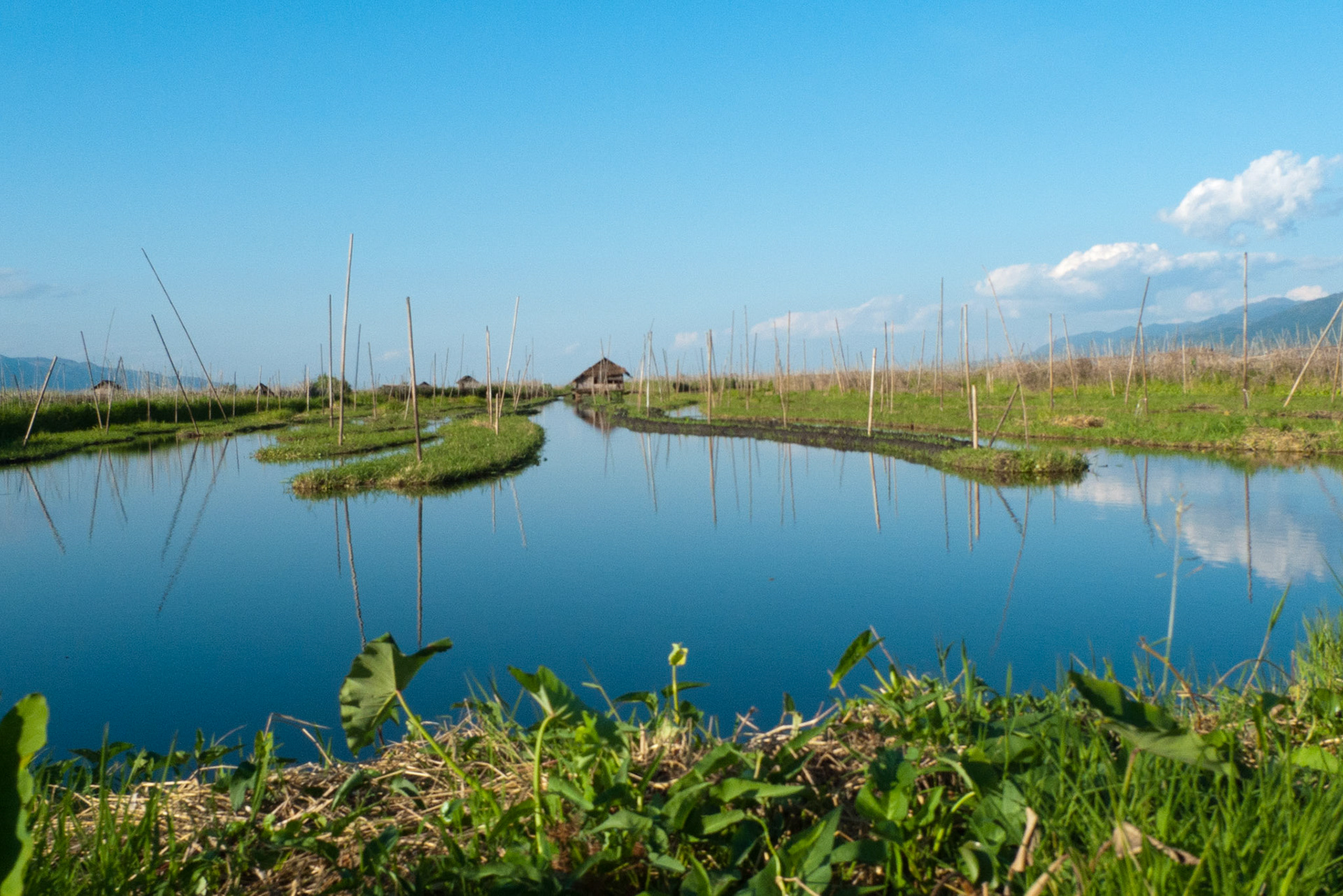 lake Inle: Floating Vegetable Islands