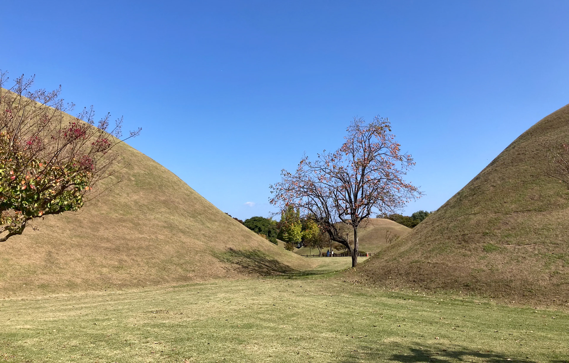 Gyeongju: Silla royal tombs - supplied RP