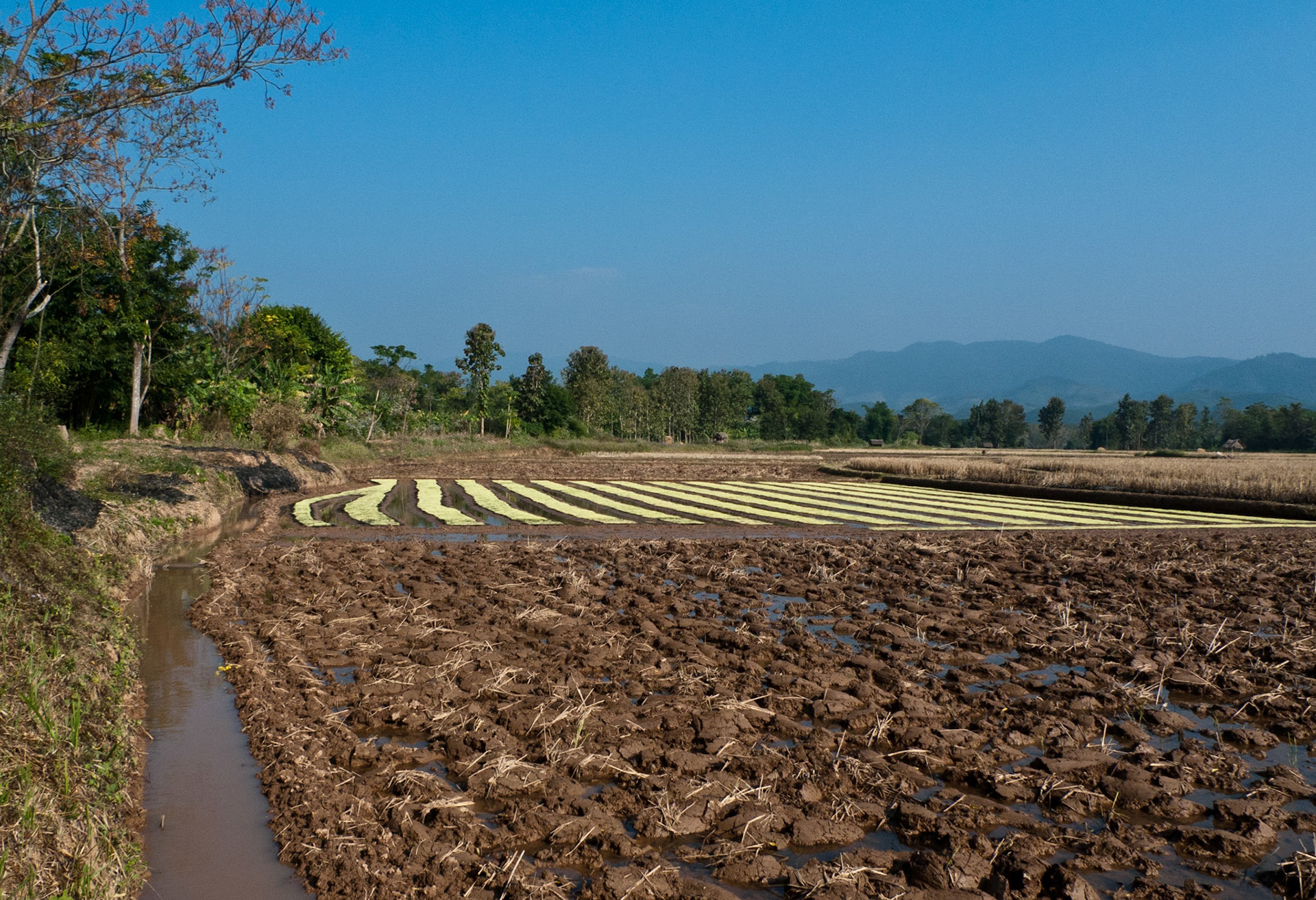 Lunang Namtha: Bike Ride