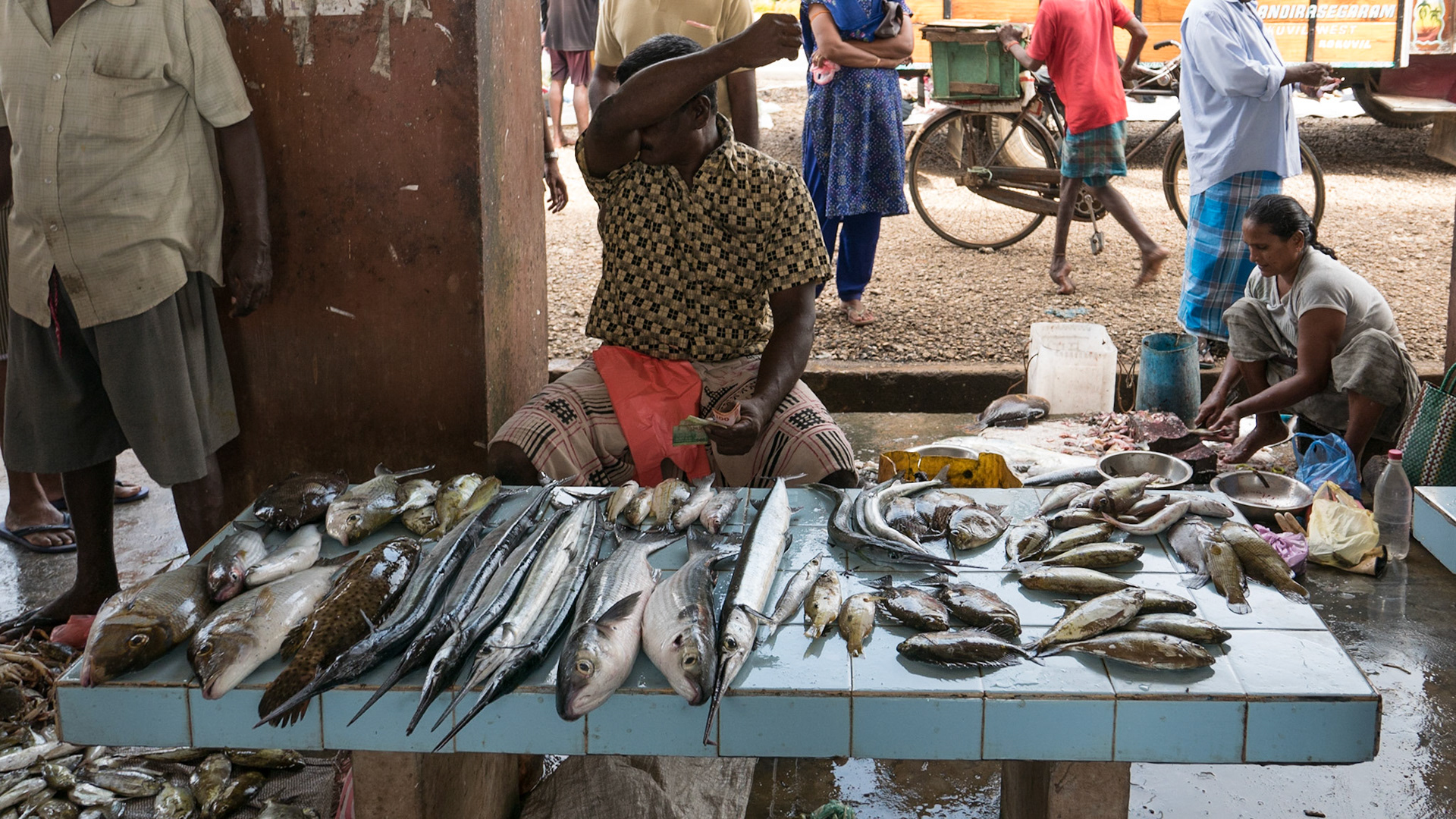 Jaffna: Fish Market
