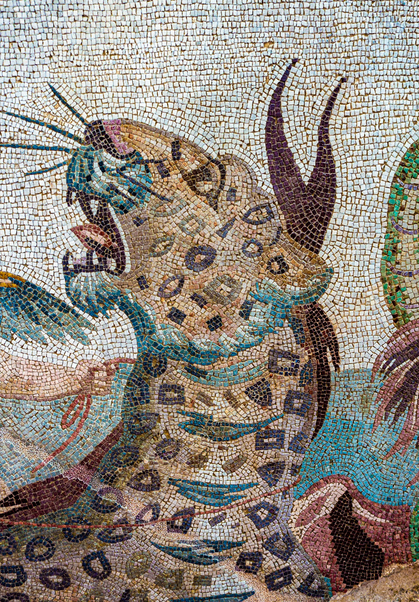 Timgad: (detail) Sea Monsters Mosaic