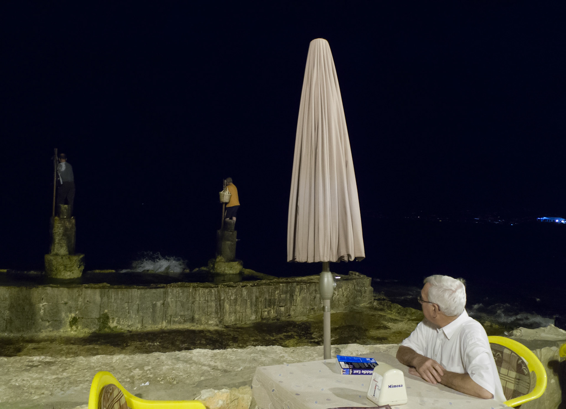Beirut: Manara Palace Cafe - Pole Fishing