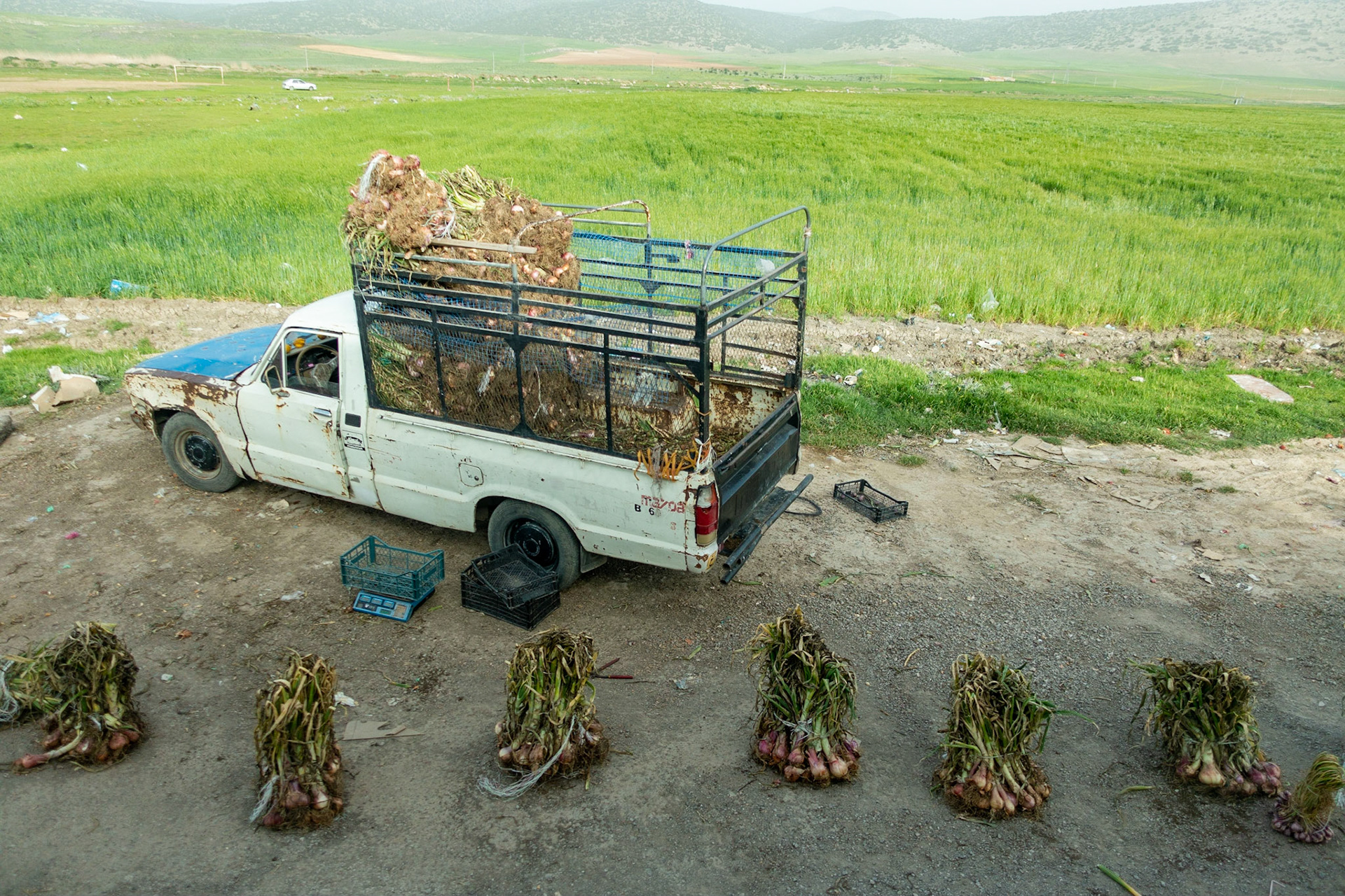 Batna to Constantine: Roadside Sellers