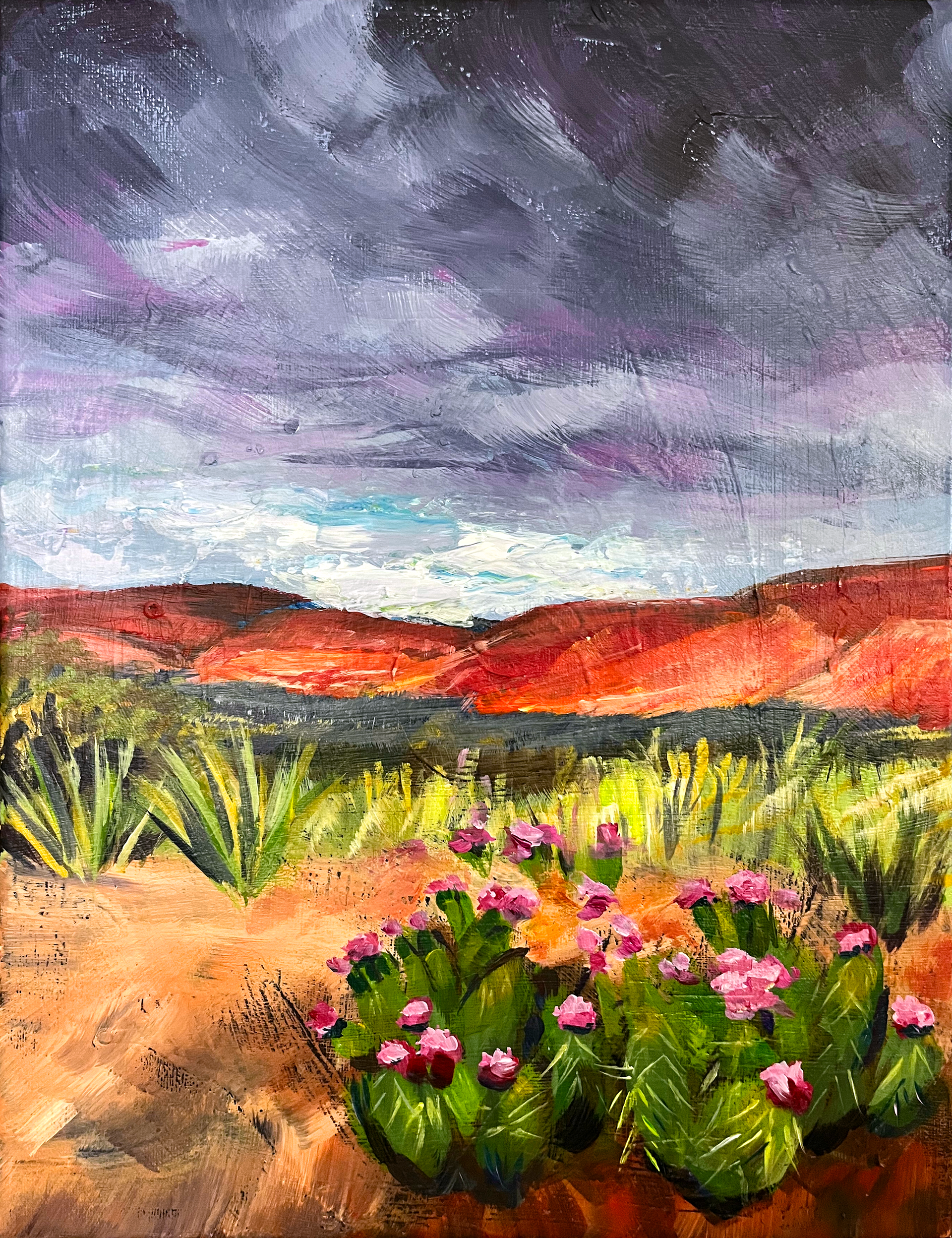 Desert blooms