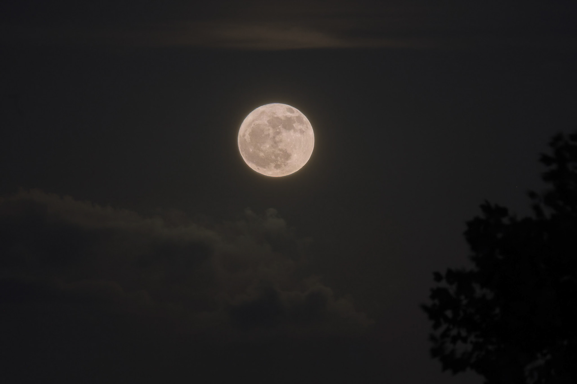 June's Strawberry Moon (06/21/24)