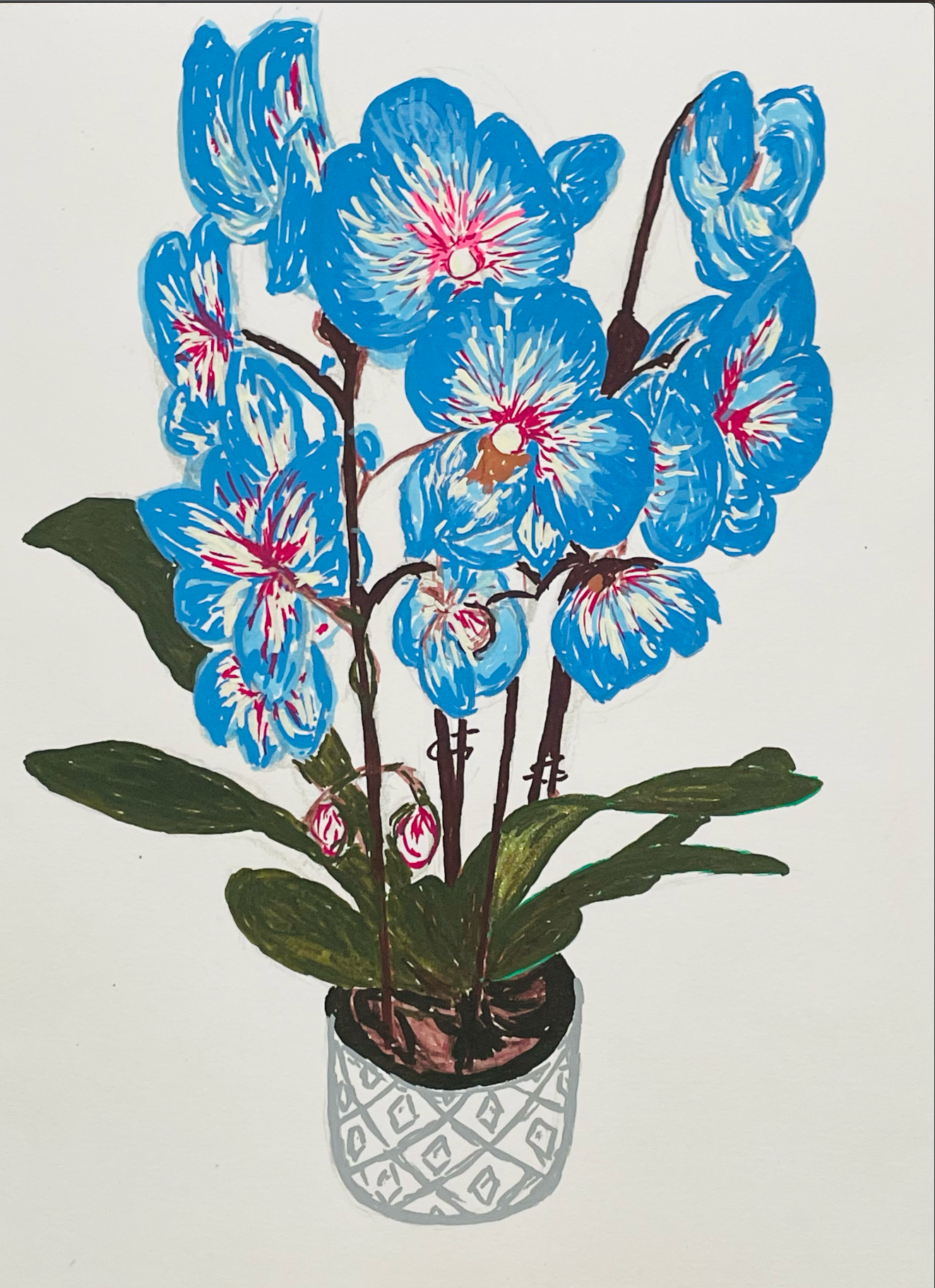 Posca