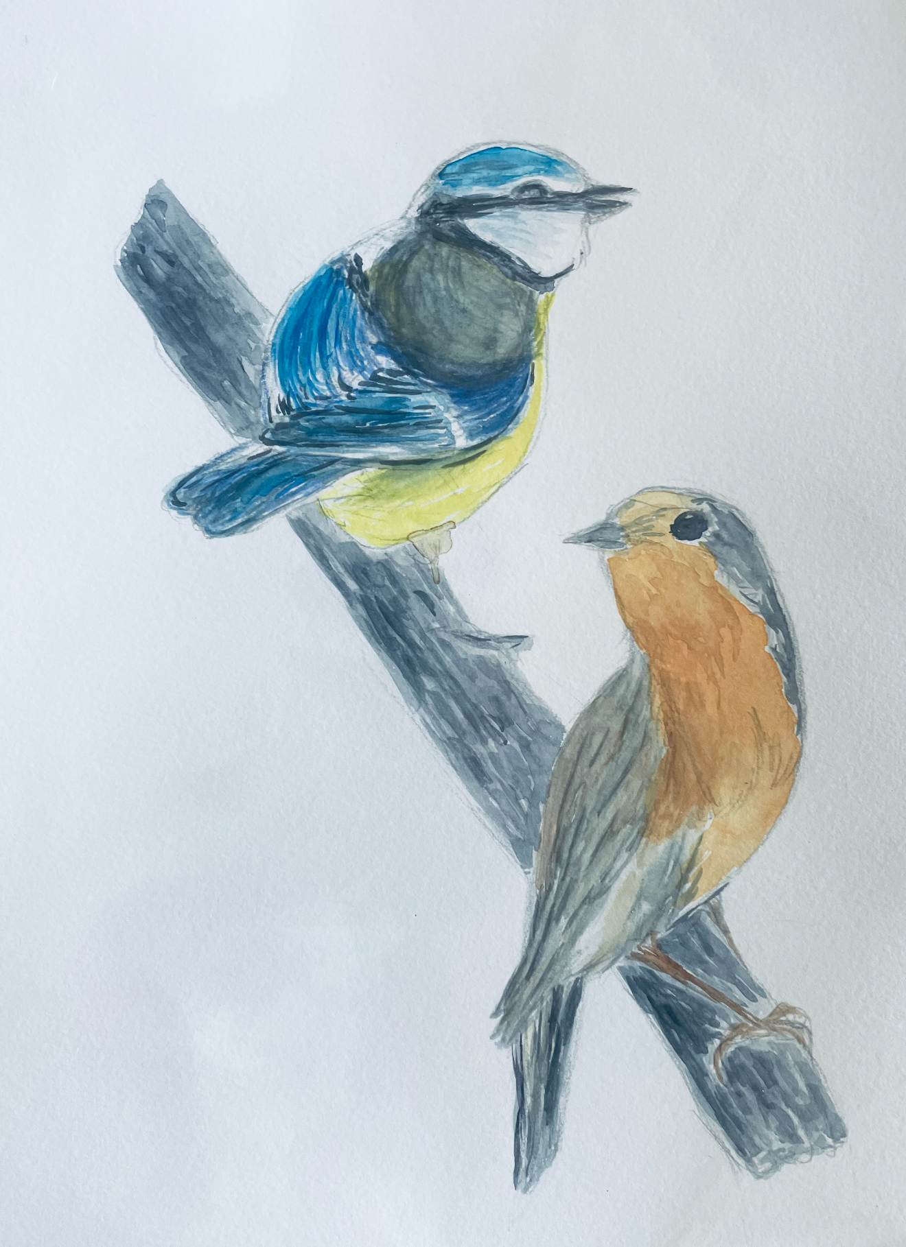 Aquarelle