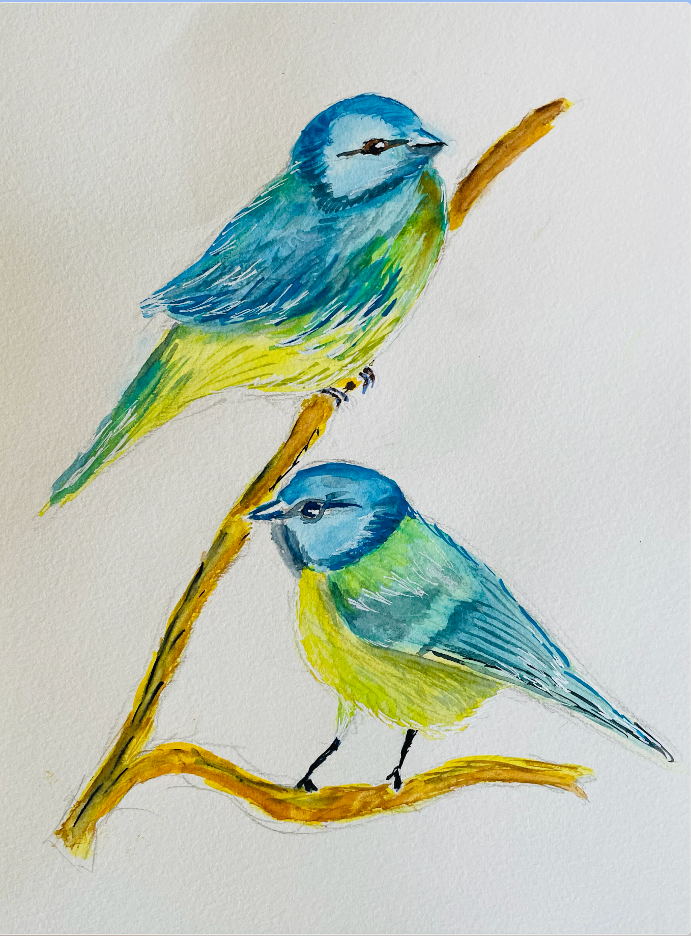 Aquarelle