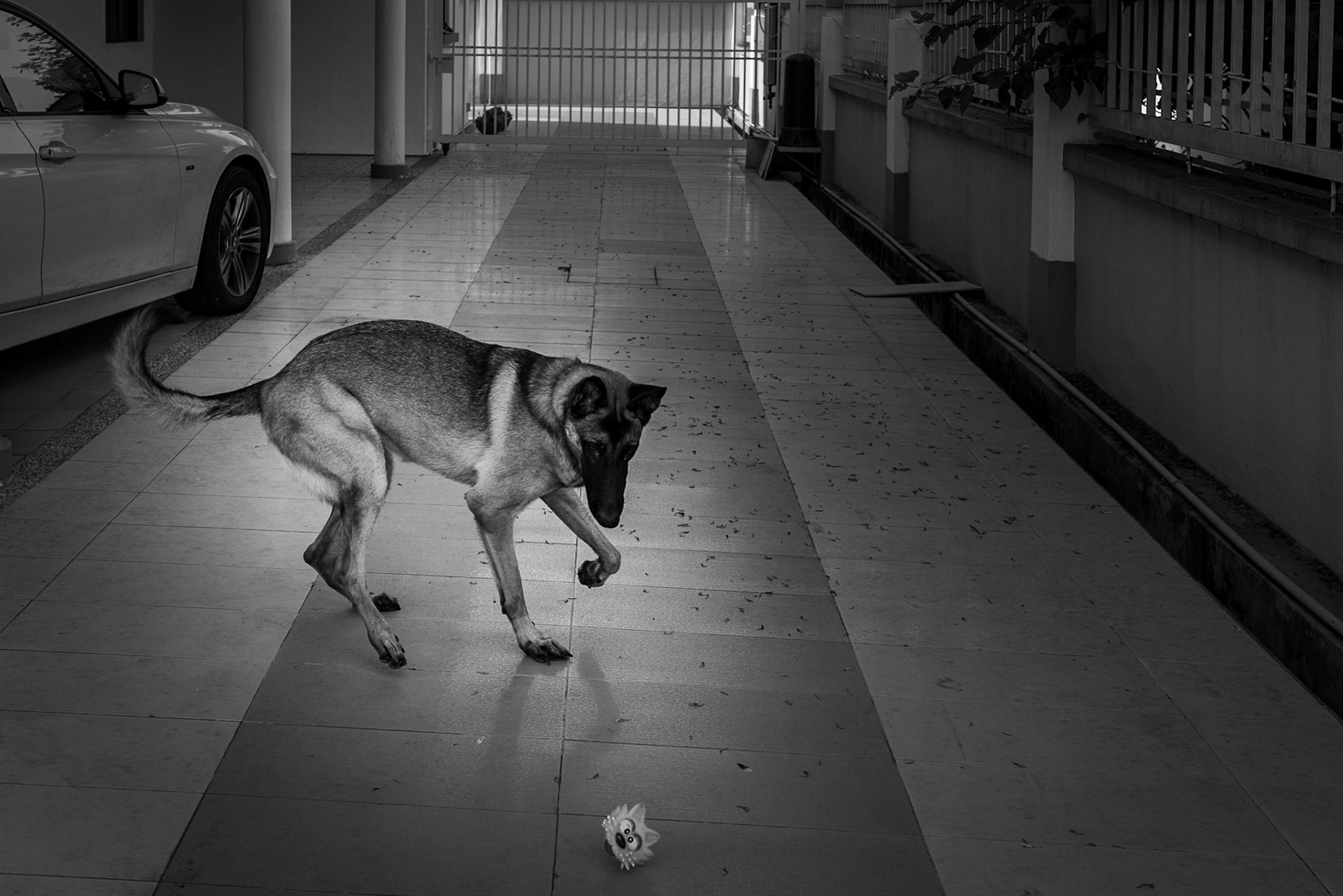 Stayhome Black and White series