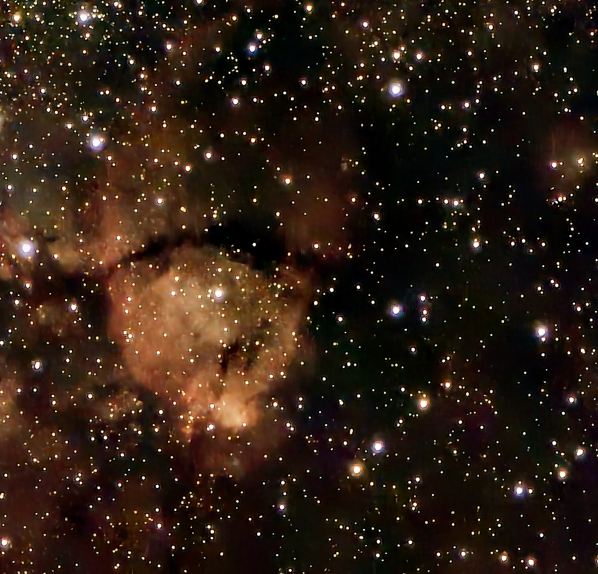Fish Head Nebula