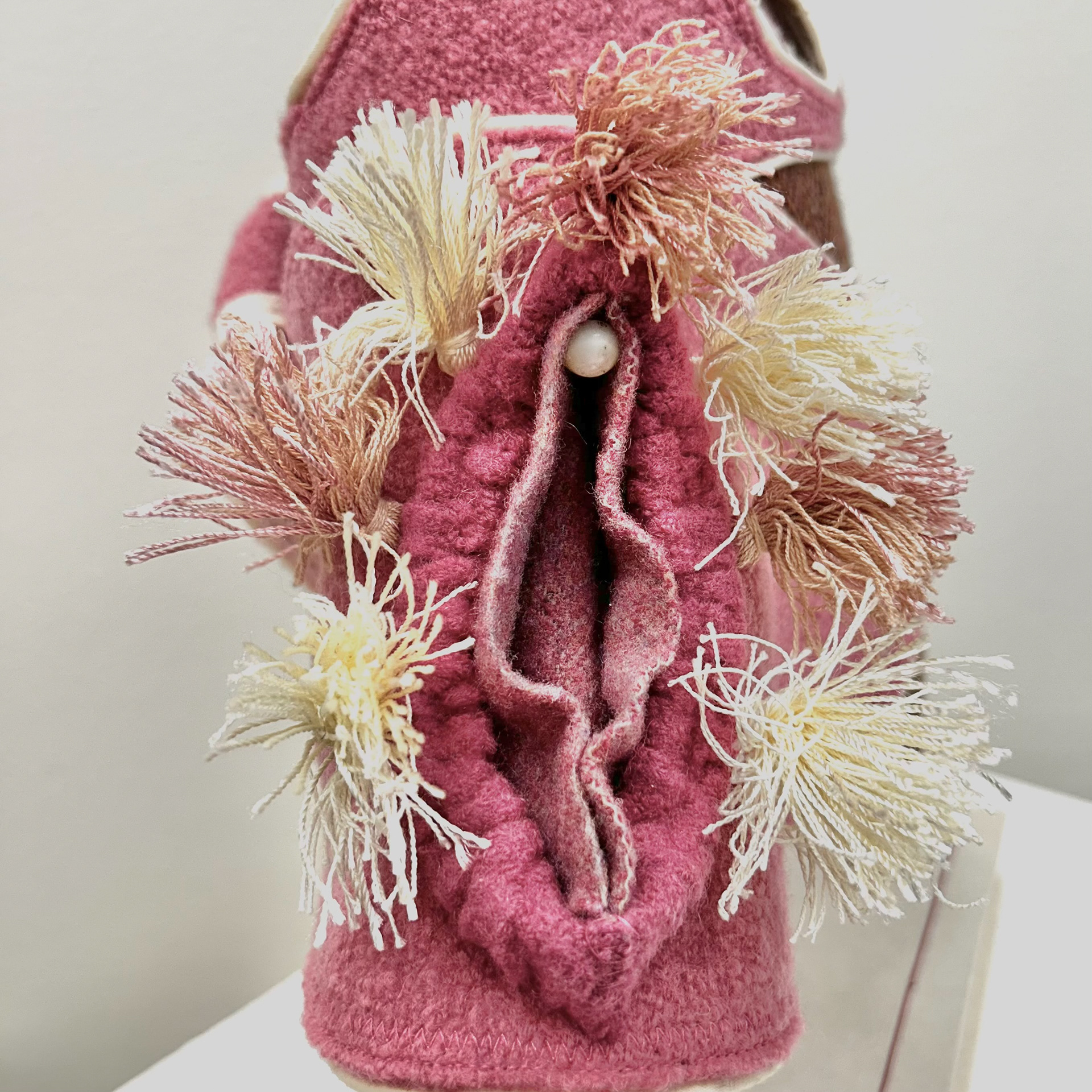 #105 aka Super Vulva