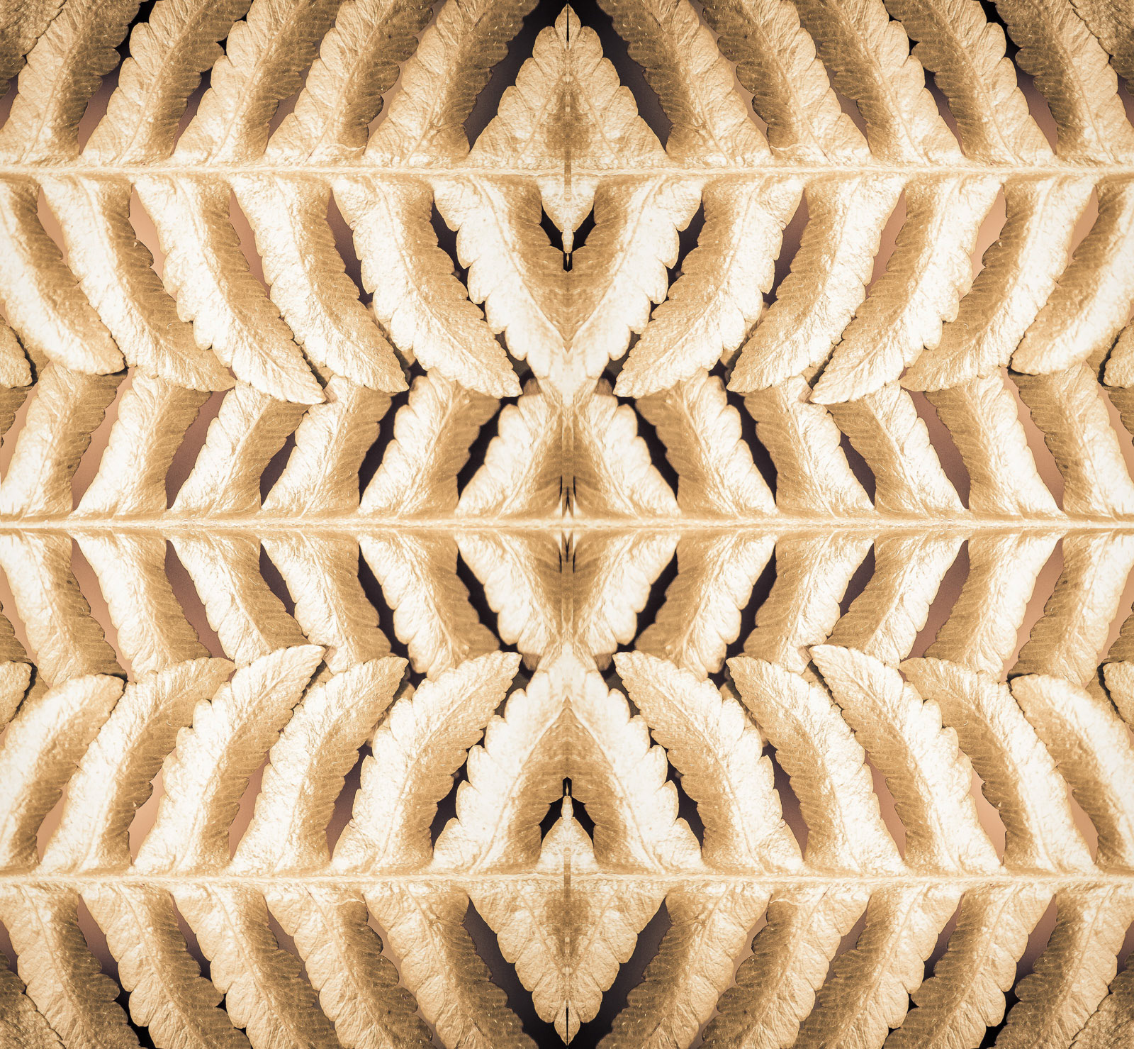 Symmetric Gold Leafs