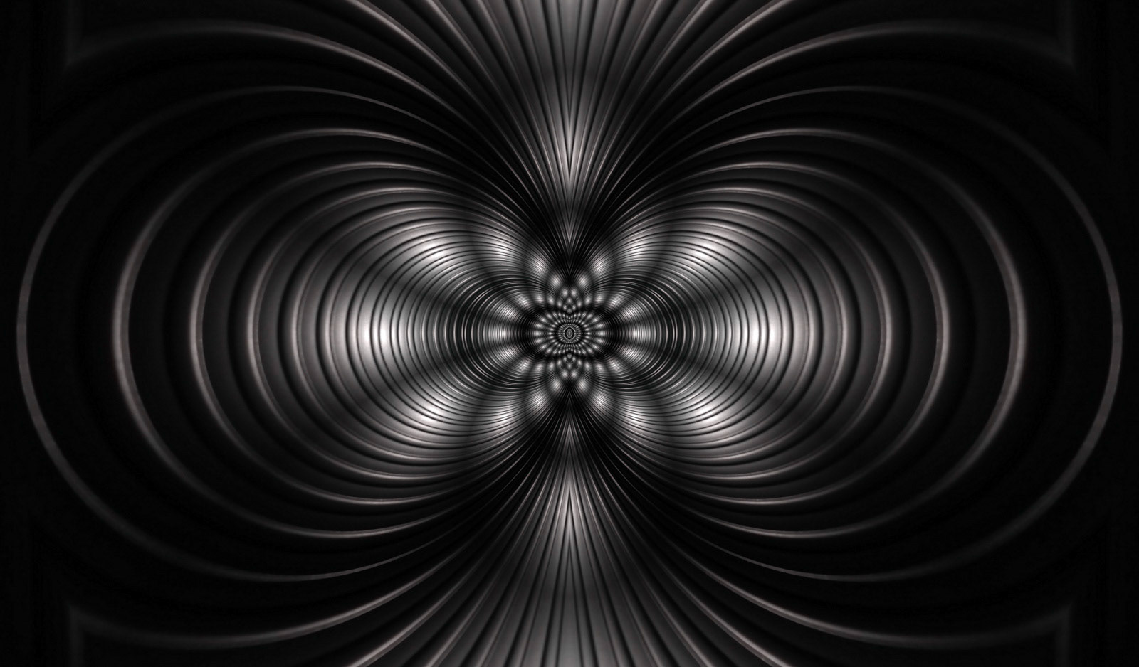 See the beauty of lines and symmetry in black and white.