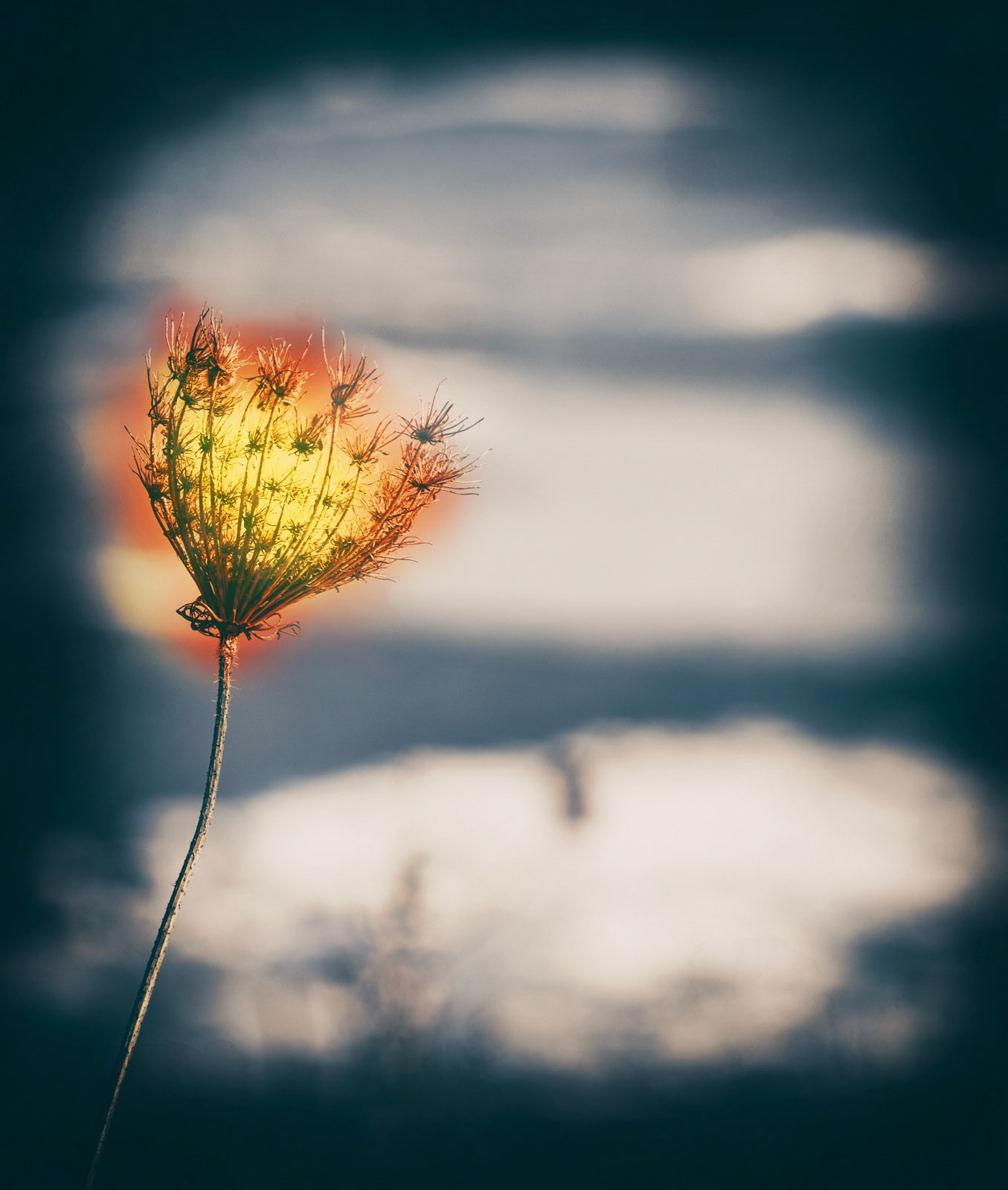 Thoughts about an abstract plant fireball artwork, glowing in front of a frozen river with ice sheets.