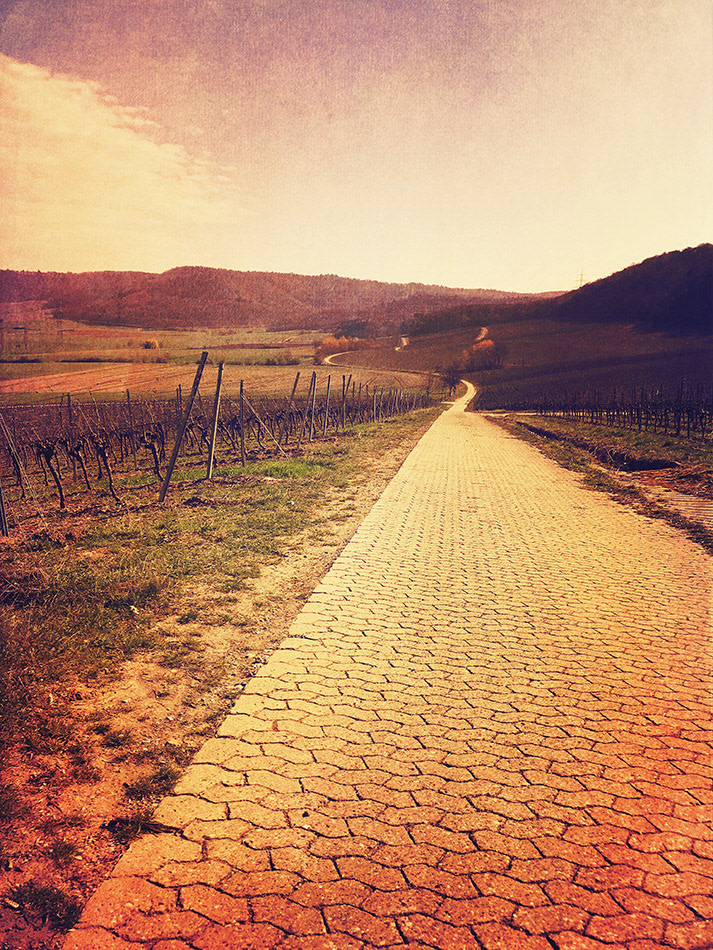 At the vineyards of Castell I captured this panoramic and rural view to the beautiful country of Bavaria.

Captured with iPhone7 // Edited with Stackables App.
