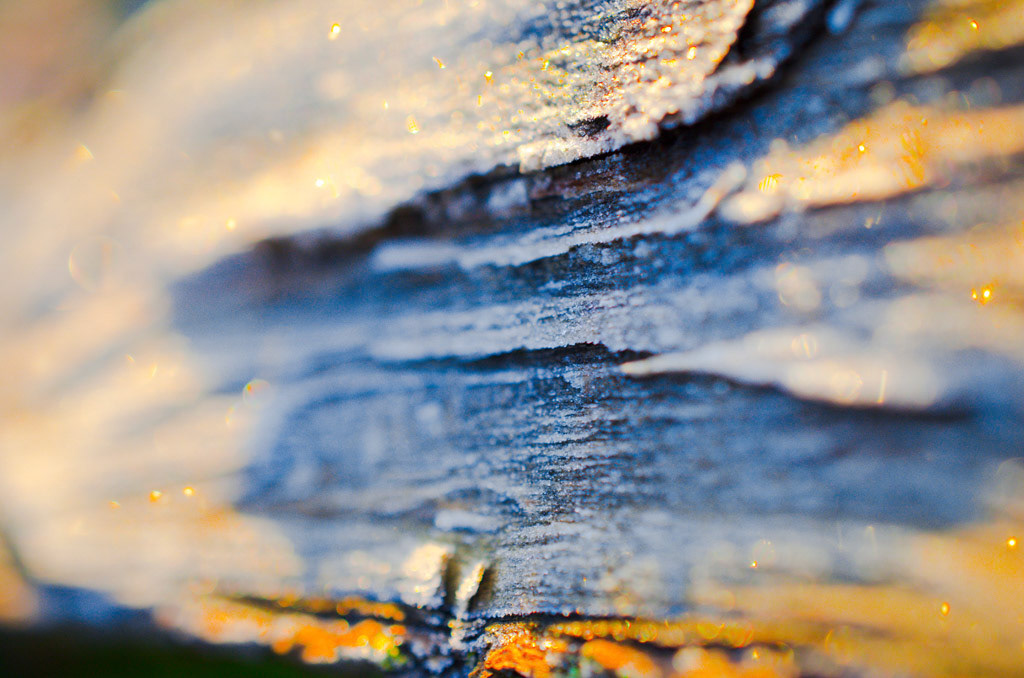 Abstract wooden tree trunk background