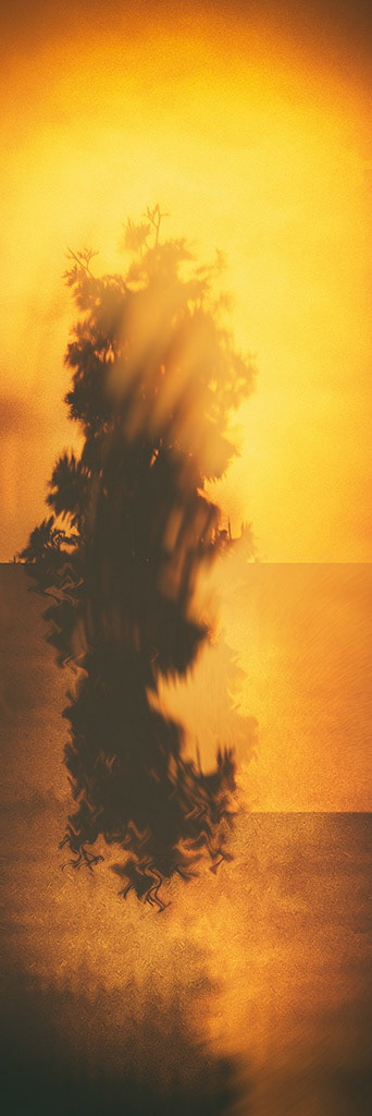 Rare photo of a haunting fire elemental on the dry fields. I had the luck to capture it in a moment he didn't notice me. ;)