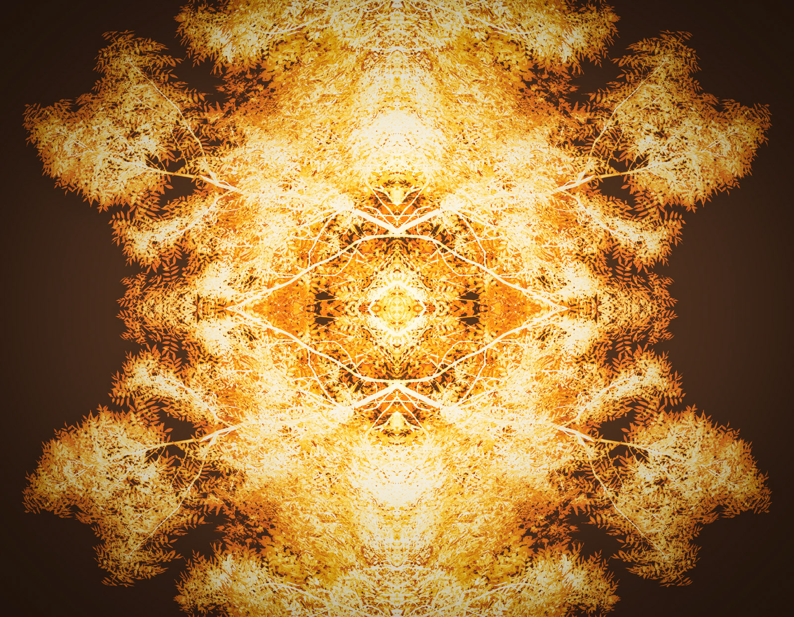 The eye of Sauron revealed in a mirrored composition of one tree part.